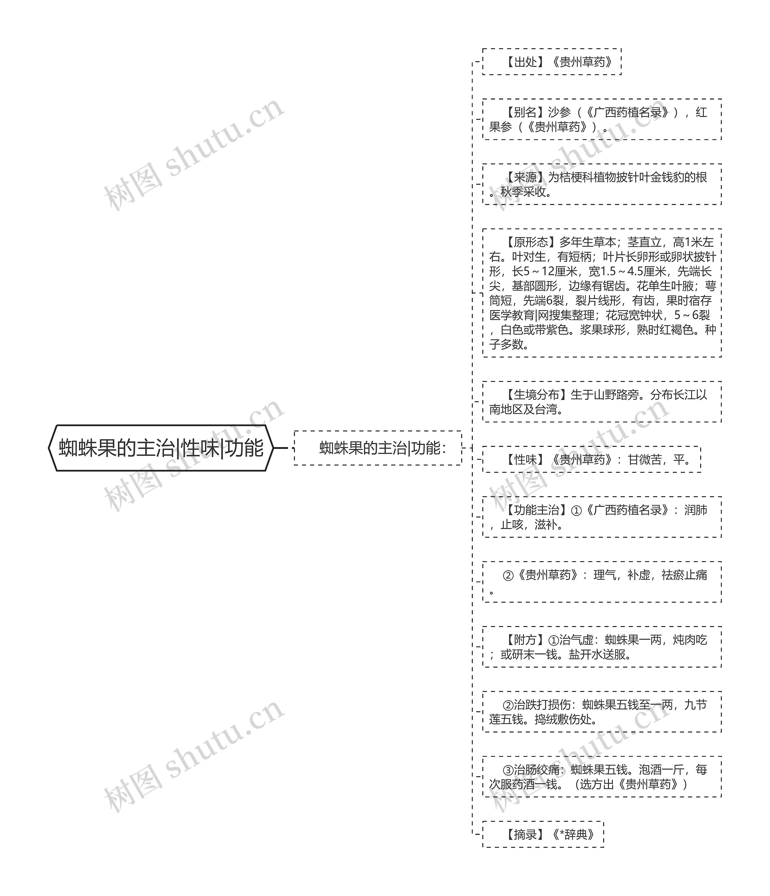 蜘蛛果的主治|性味|功能思维导图