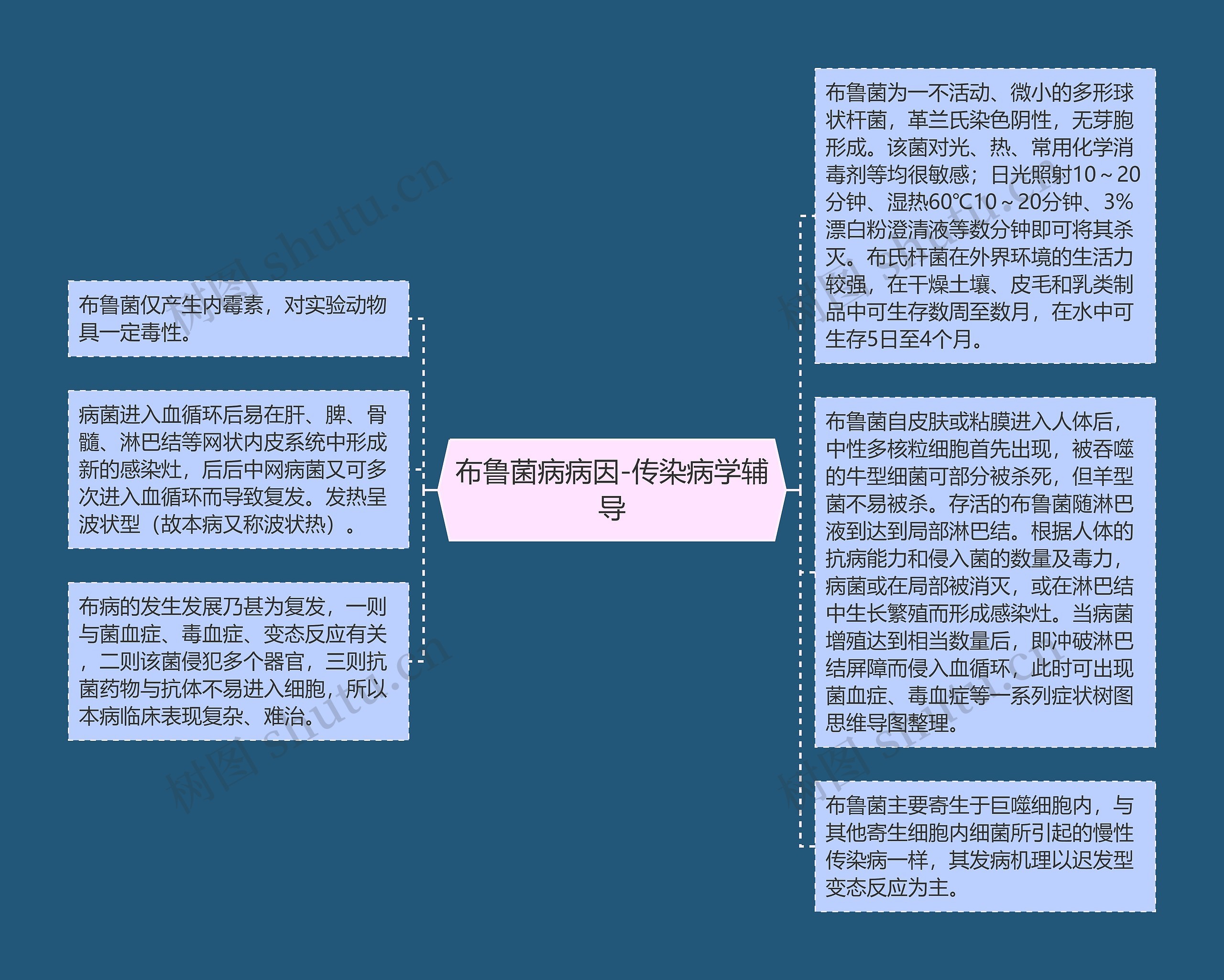 布鲁菌病病因-传染病学辅导思维导图