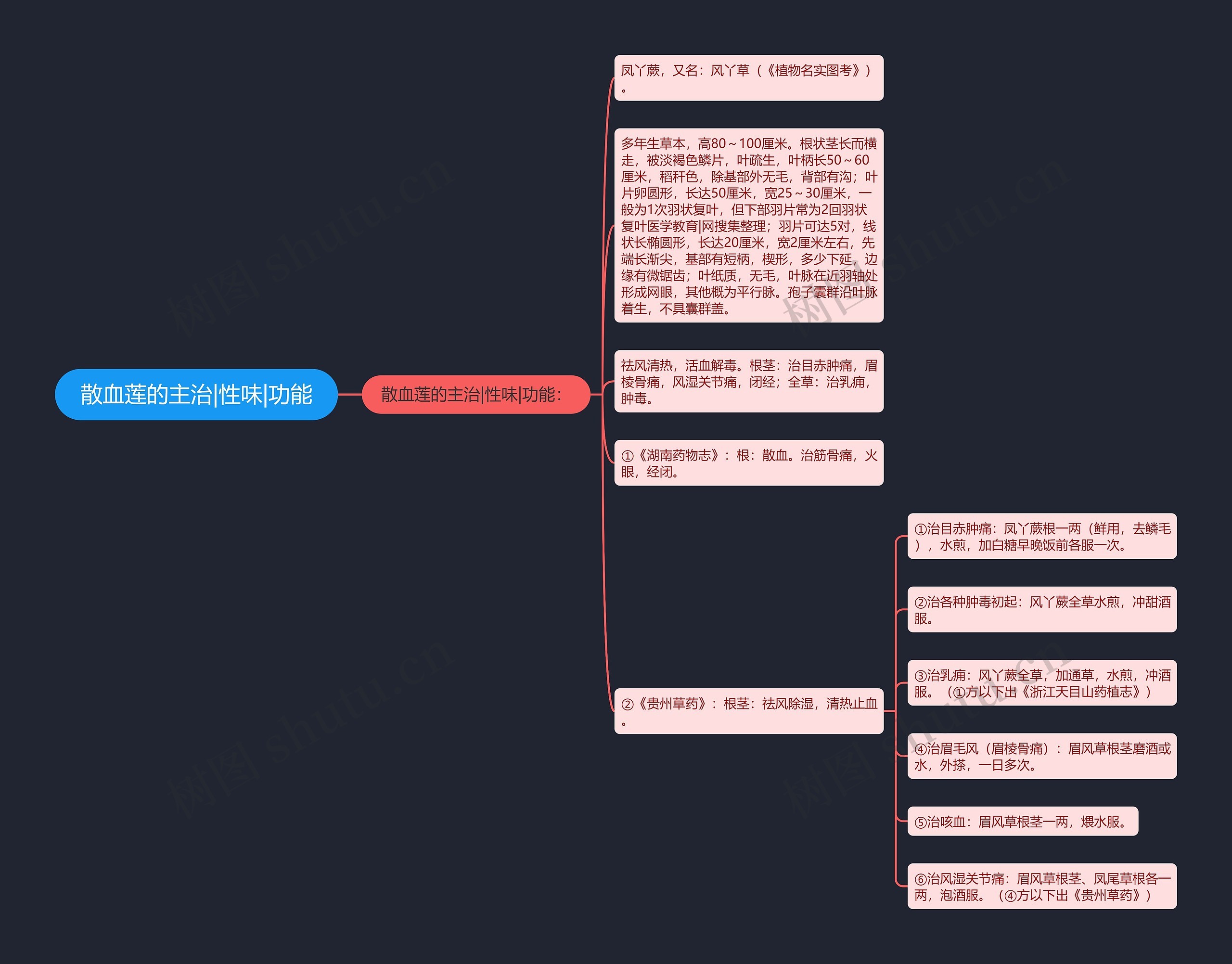 散血莲的主治|性味|功能思维导图