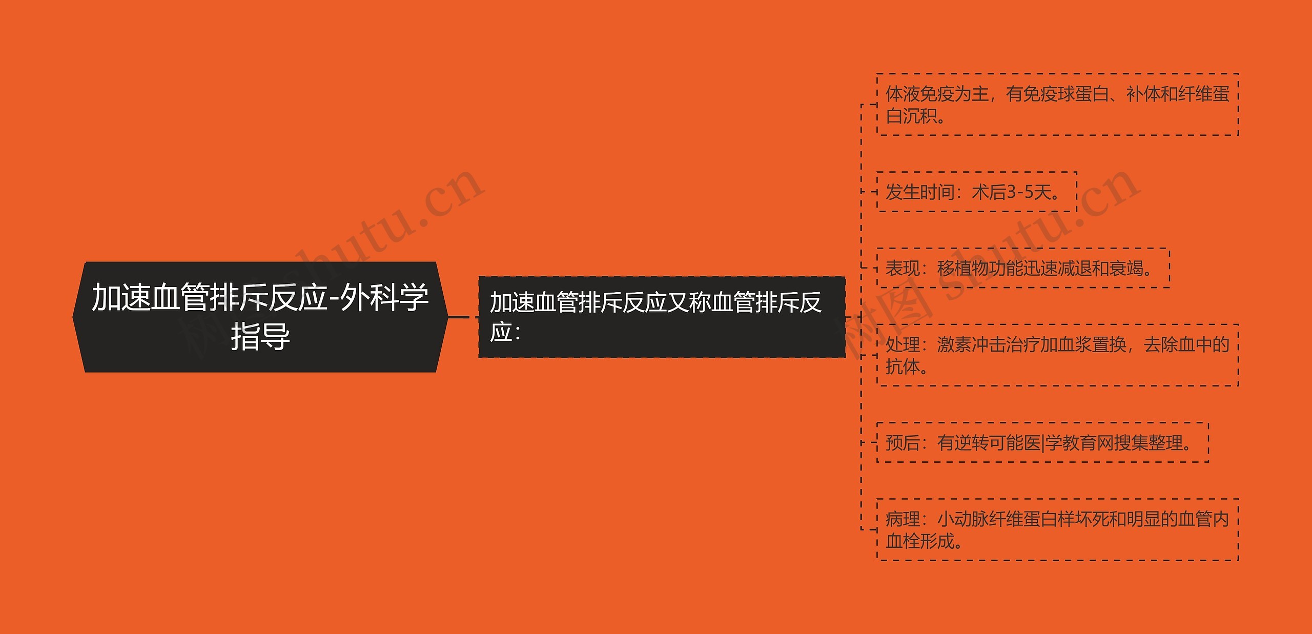 加速血管排斥反应-外科学指导 加速血管排斥反应-外科学指导
