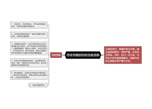 脊柱脊髓损伤的急救措施