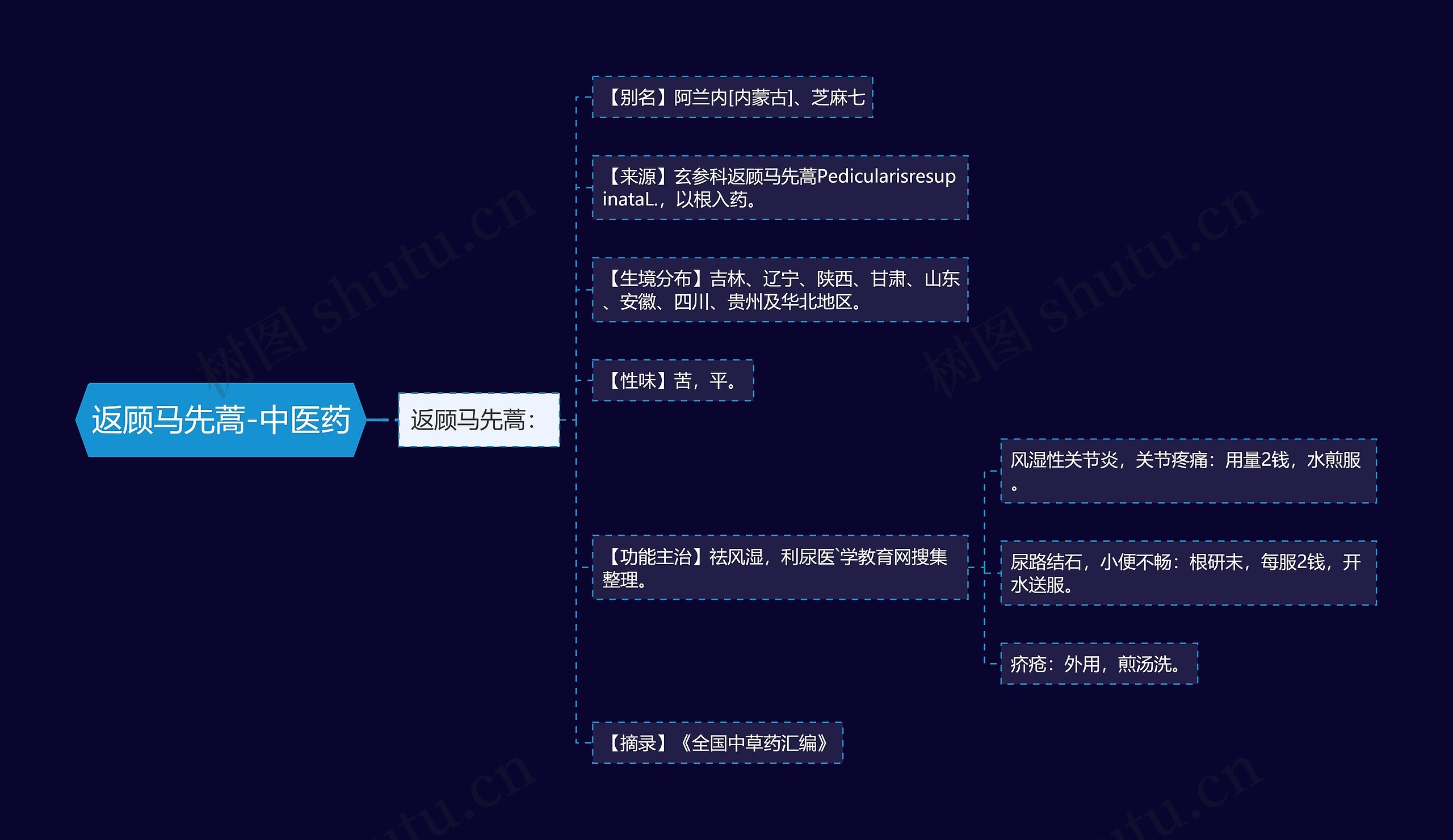 返顾马先蒿-中医药 返顾马先蒿-中医药