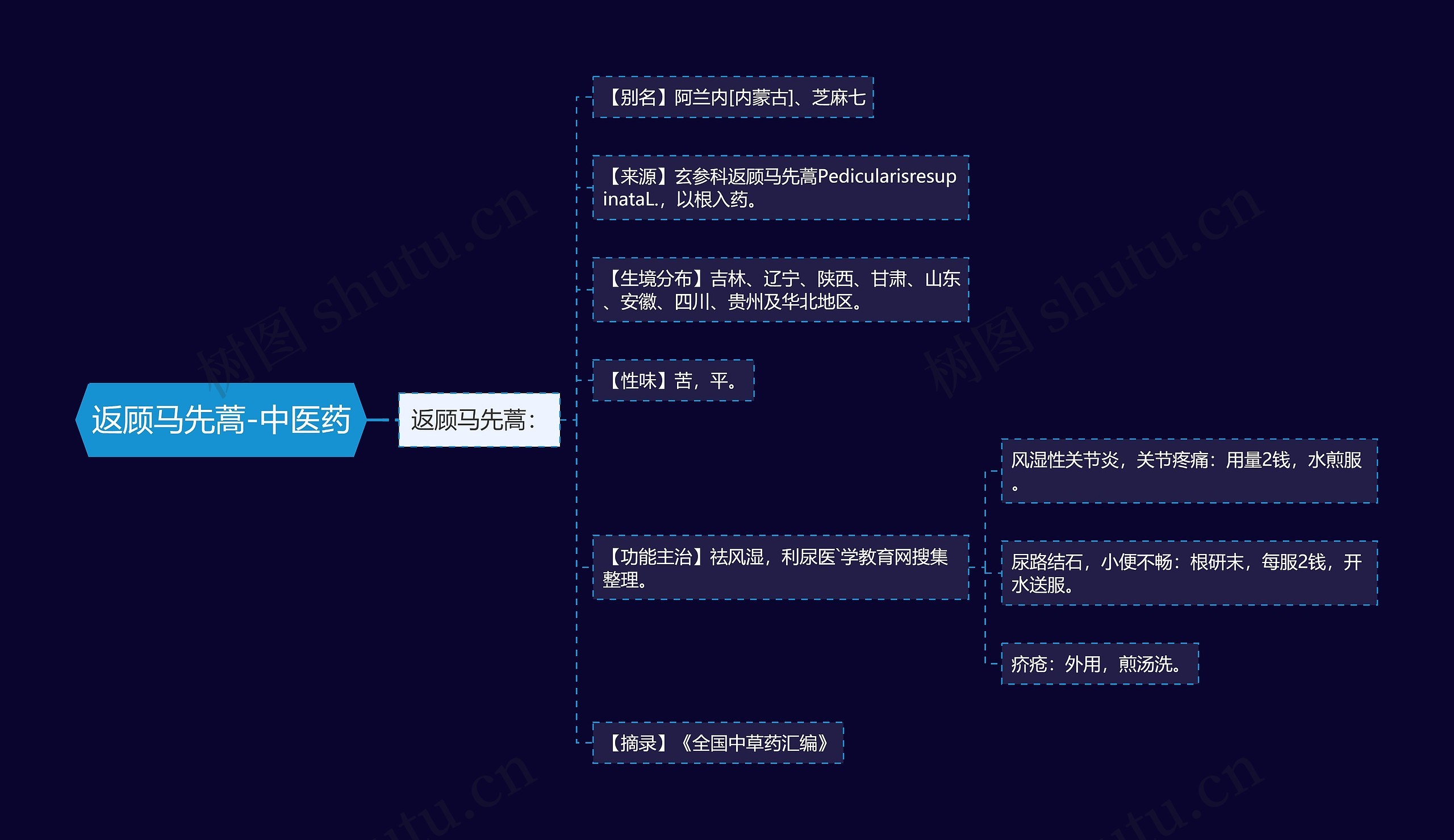 返顾马先蒿-中医药思维导图