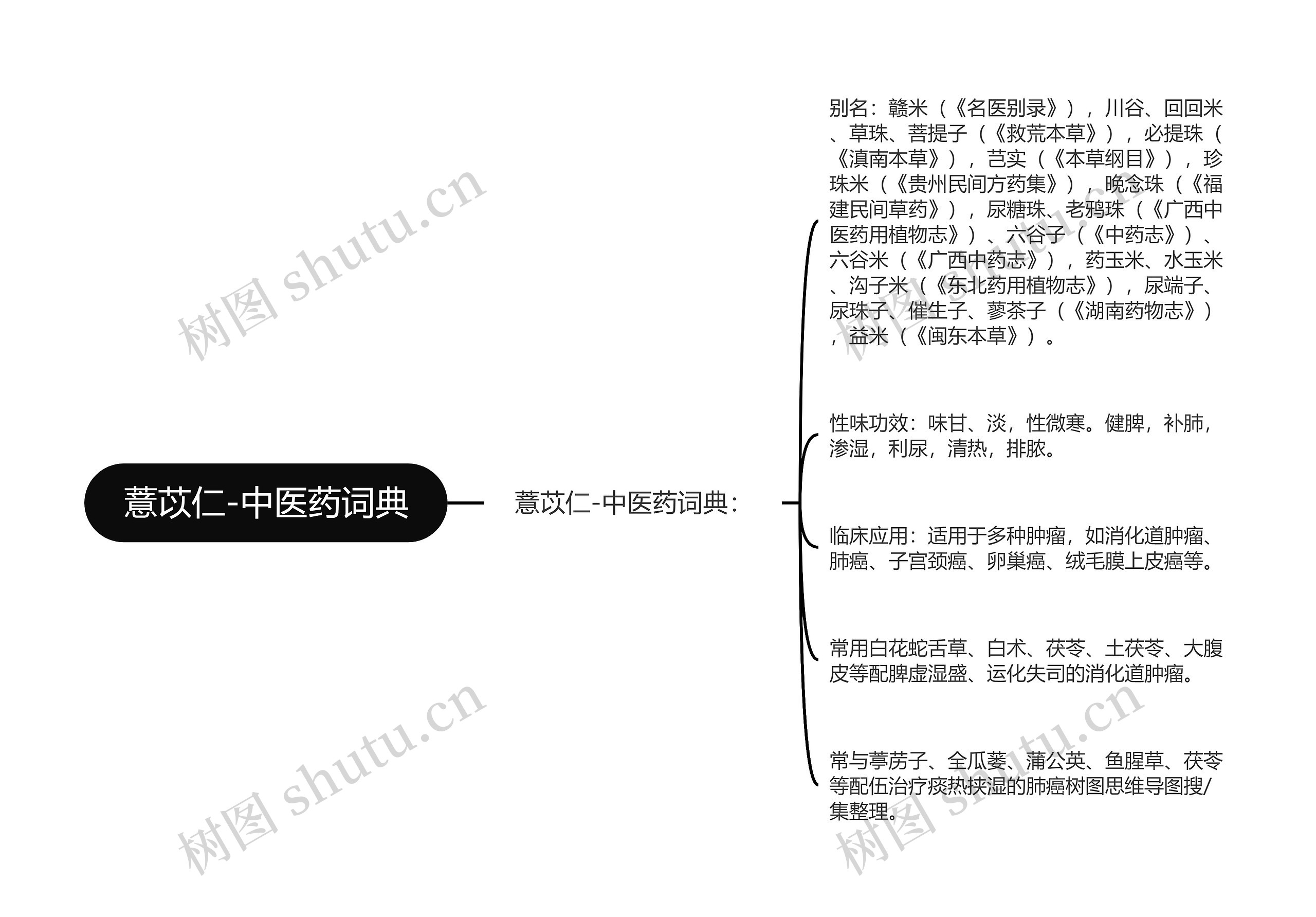 薏苡仁-中医药词典思维导图