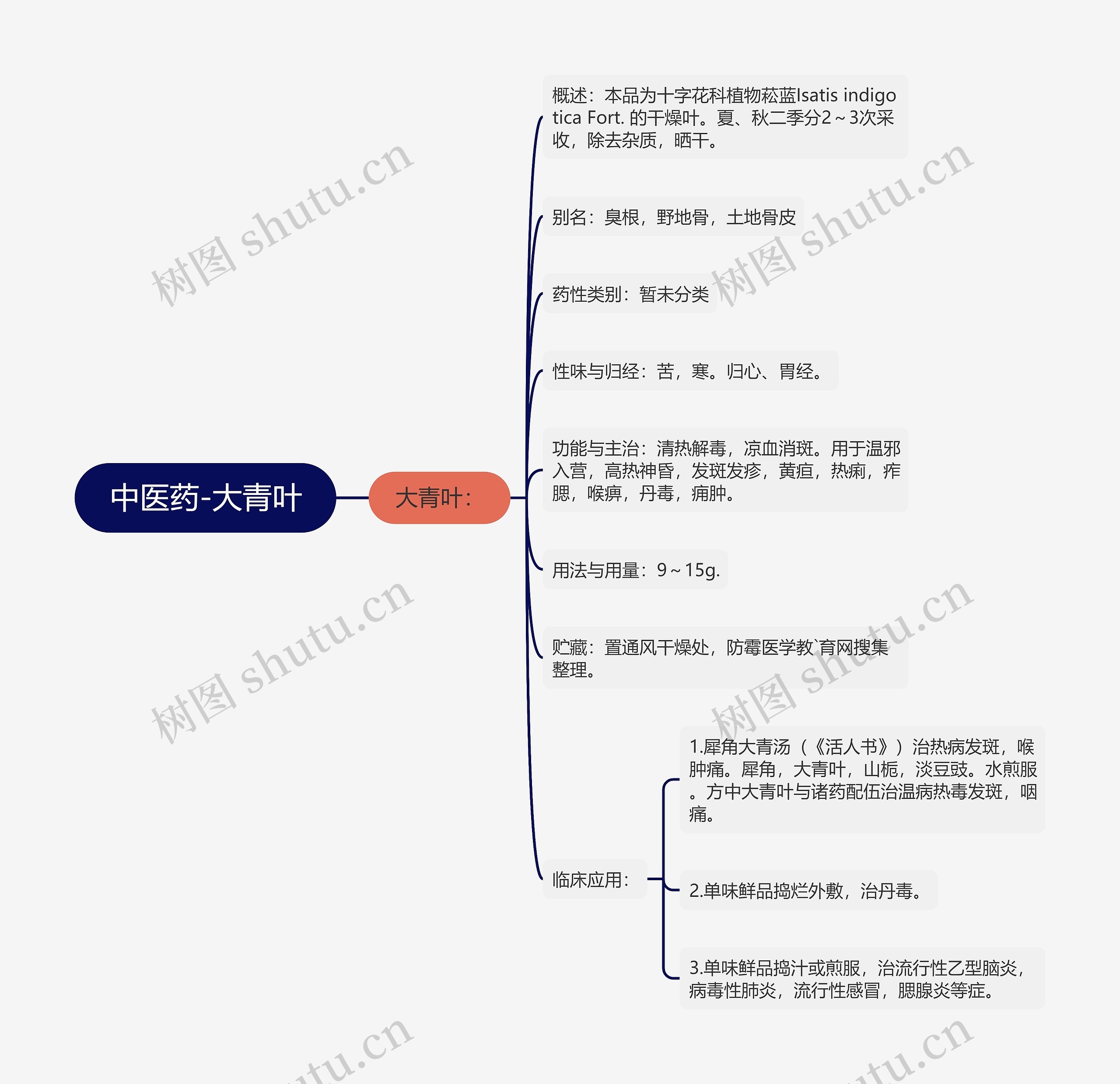 中医药-大青叶思维导图