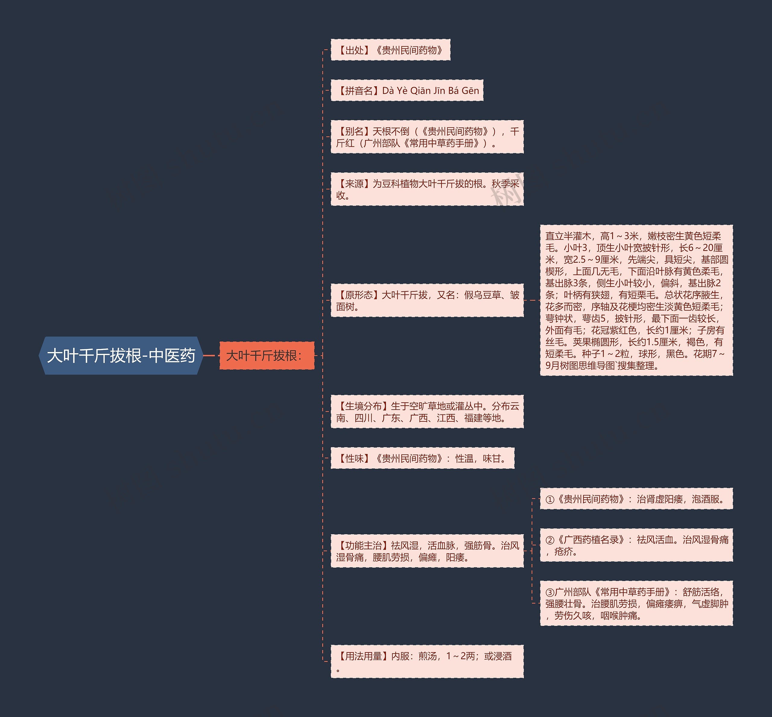 大叶千斤拔根-中医药 大叶千斤拔根-中医药