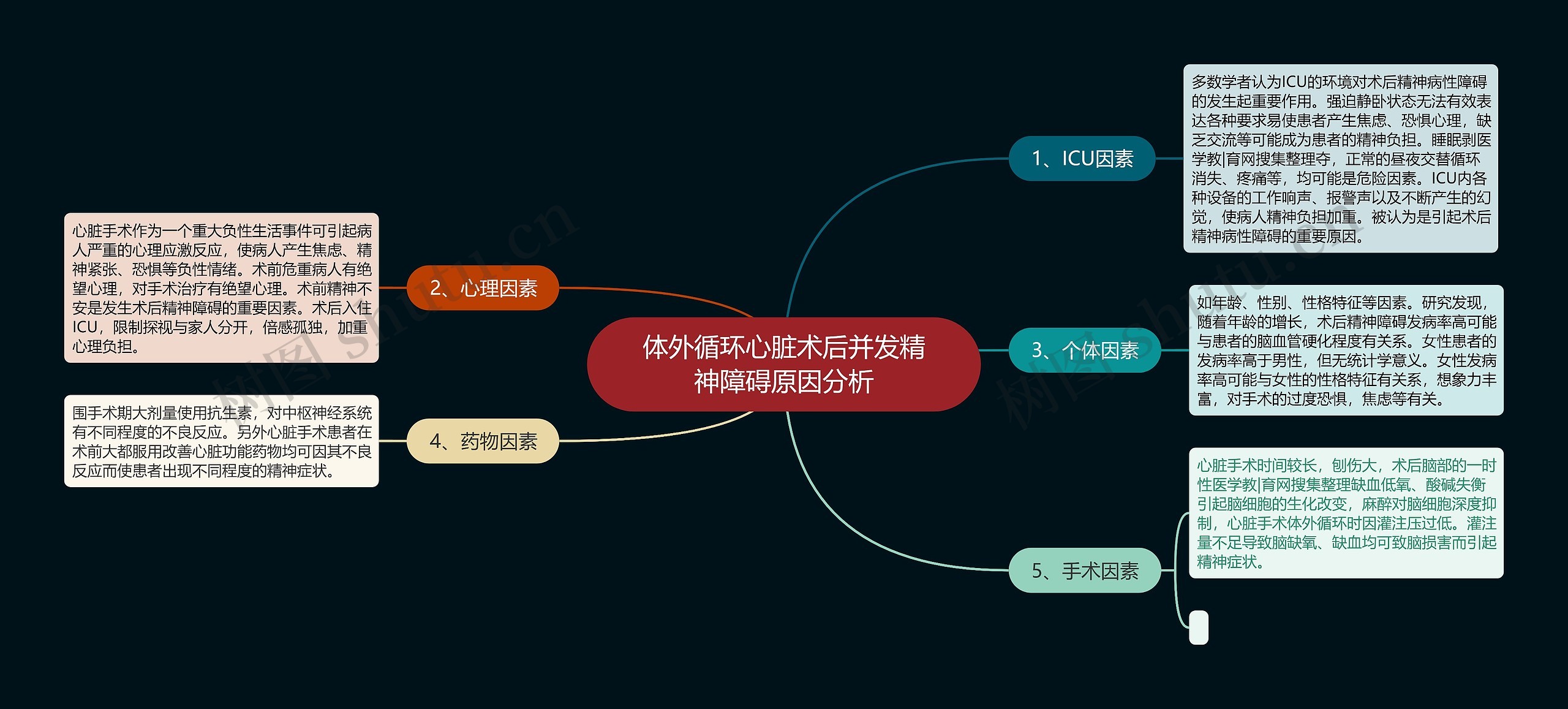 体外循环心脏术后并发精神障碍原因分析思维导图