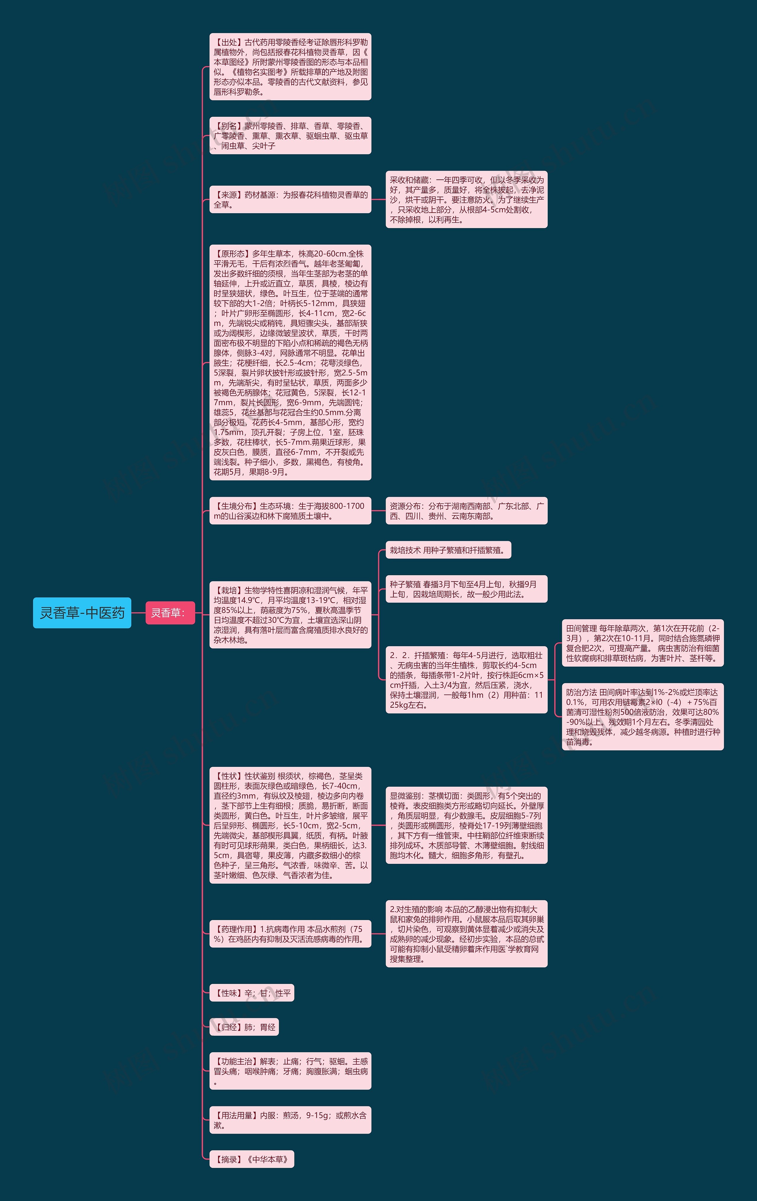 灵香草-中医药思维导图