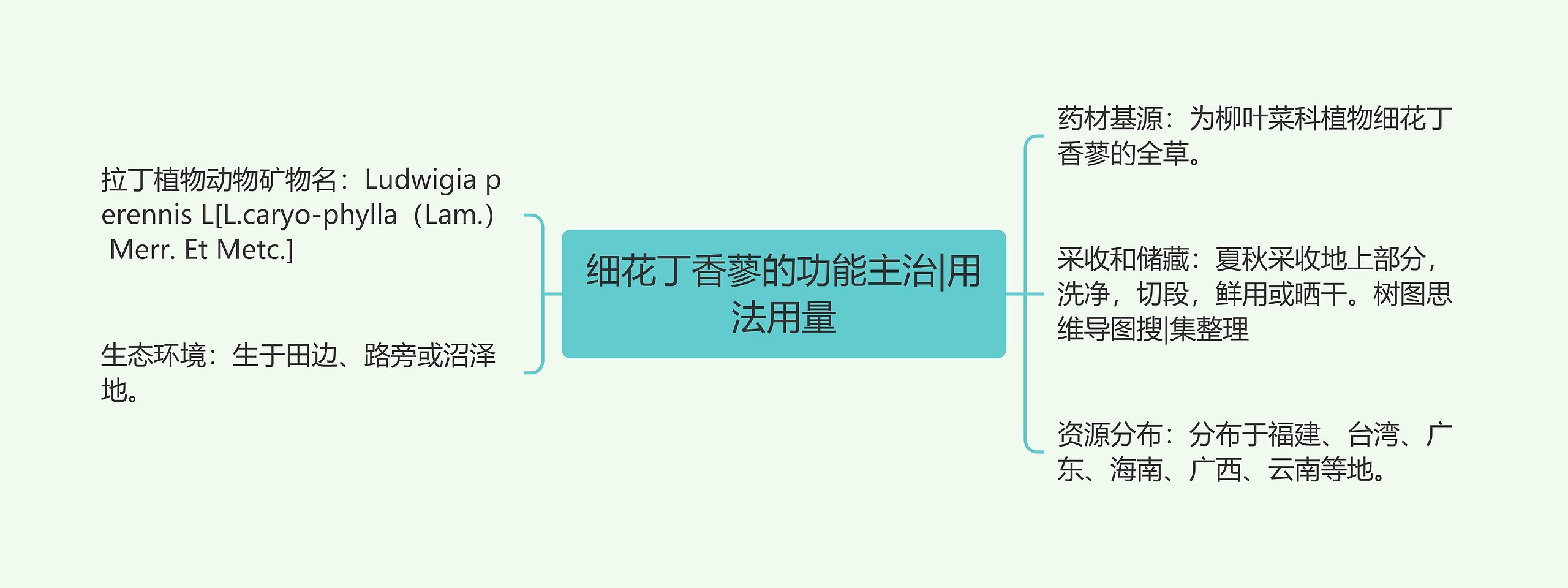 细花丁香蓼的功能主治|用法用量 细花丁香蓼的功能主治|用法用量
