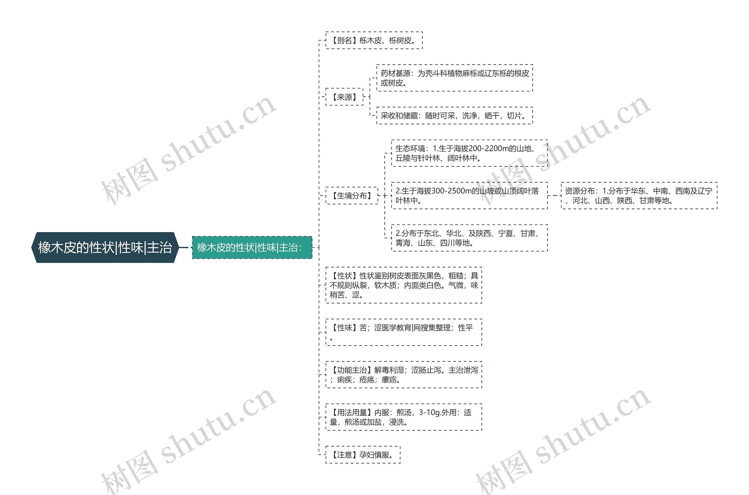 橡木皮的性状|性味|主治思维导图