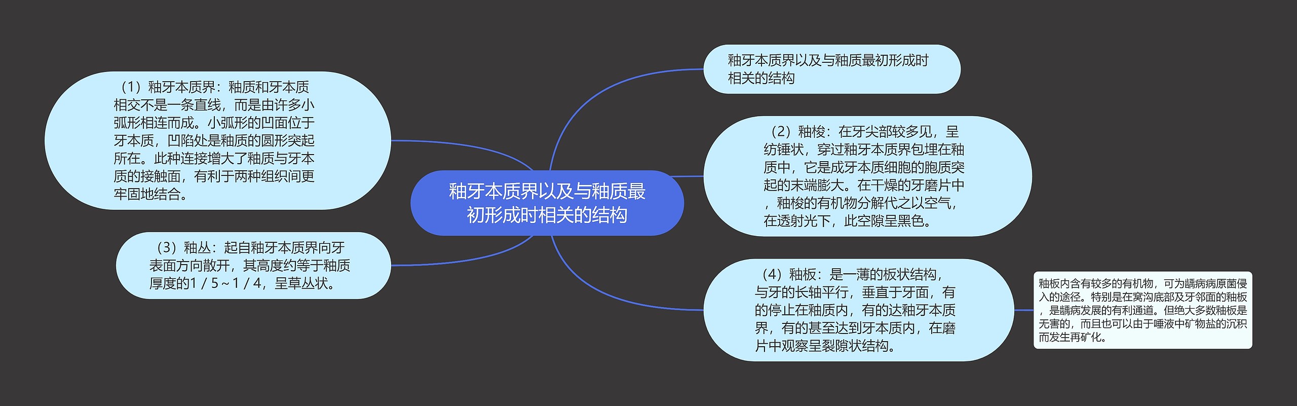 釉牙本质界以及与釉质最初形成时相关的结构思维导图