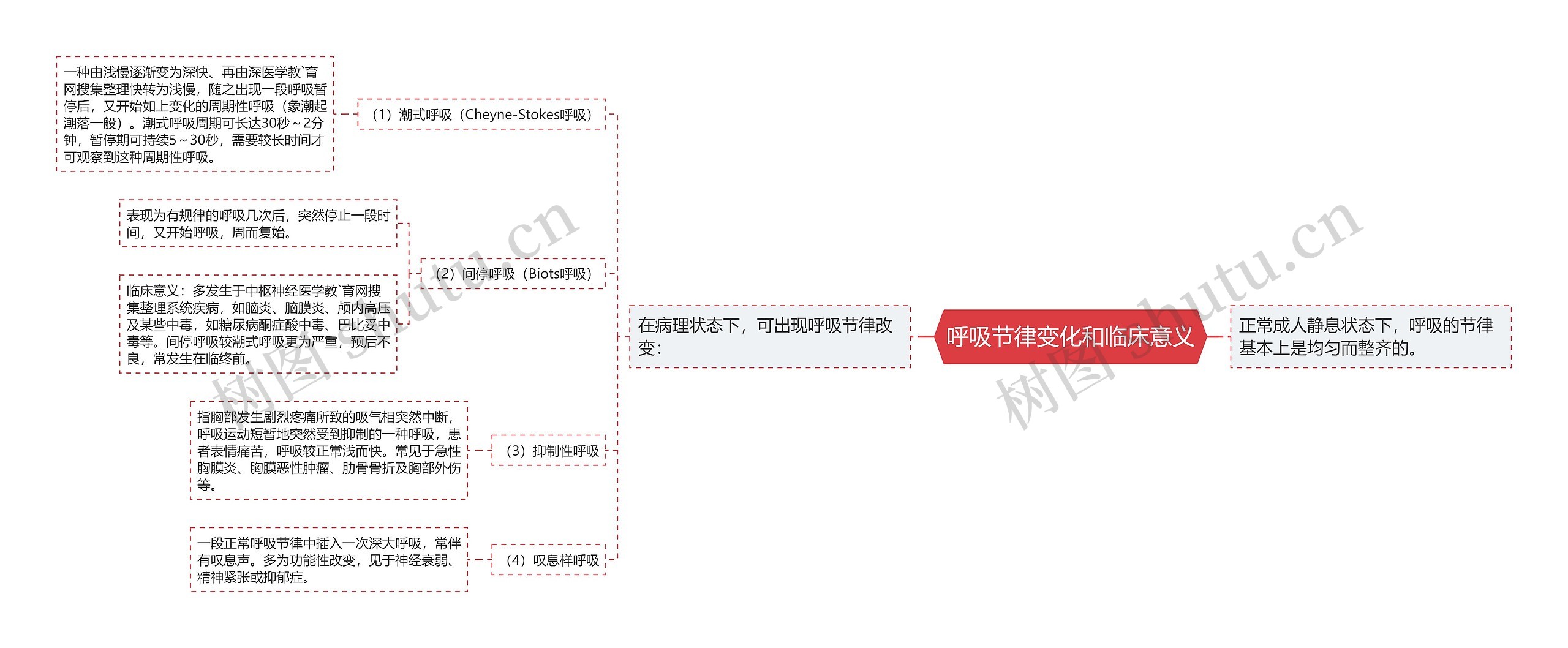 呼吸节律变化和临床意义思维导图