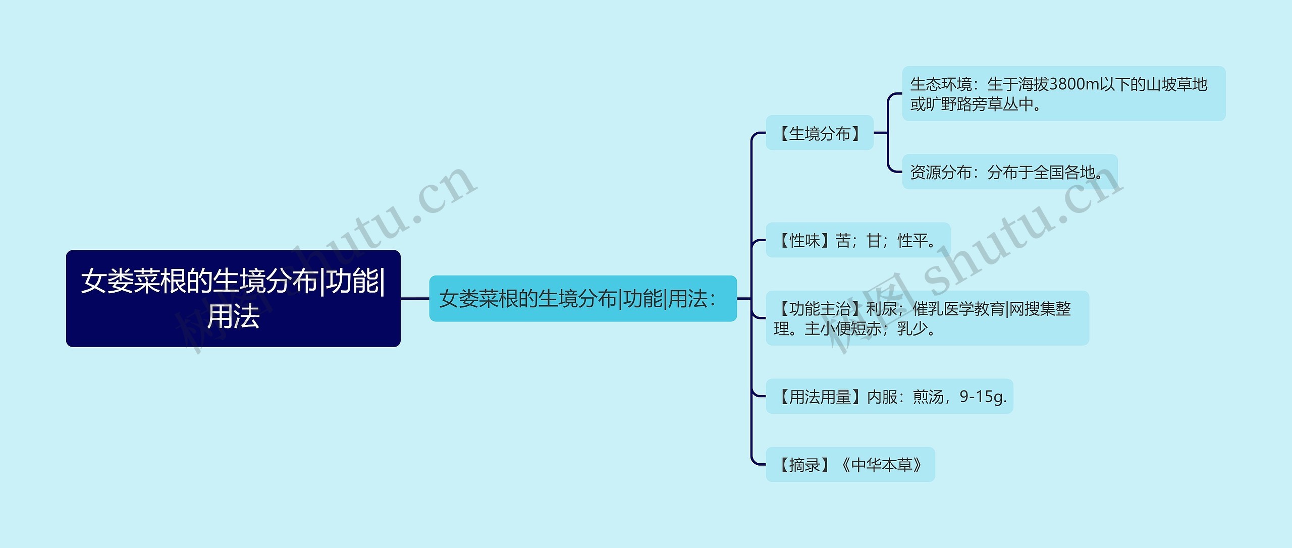 女娄菜根的生境分布|功能|用法