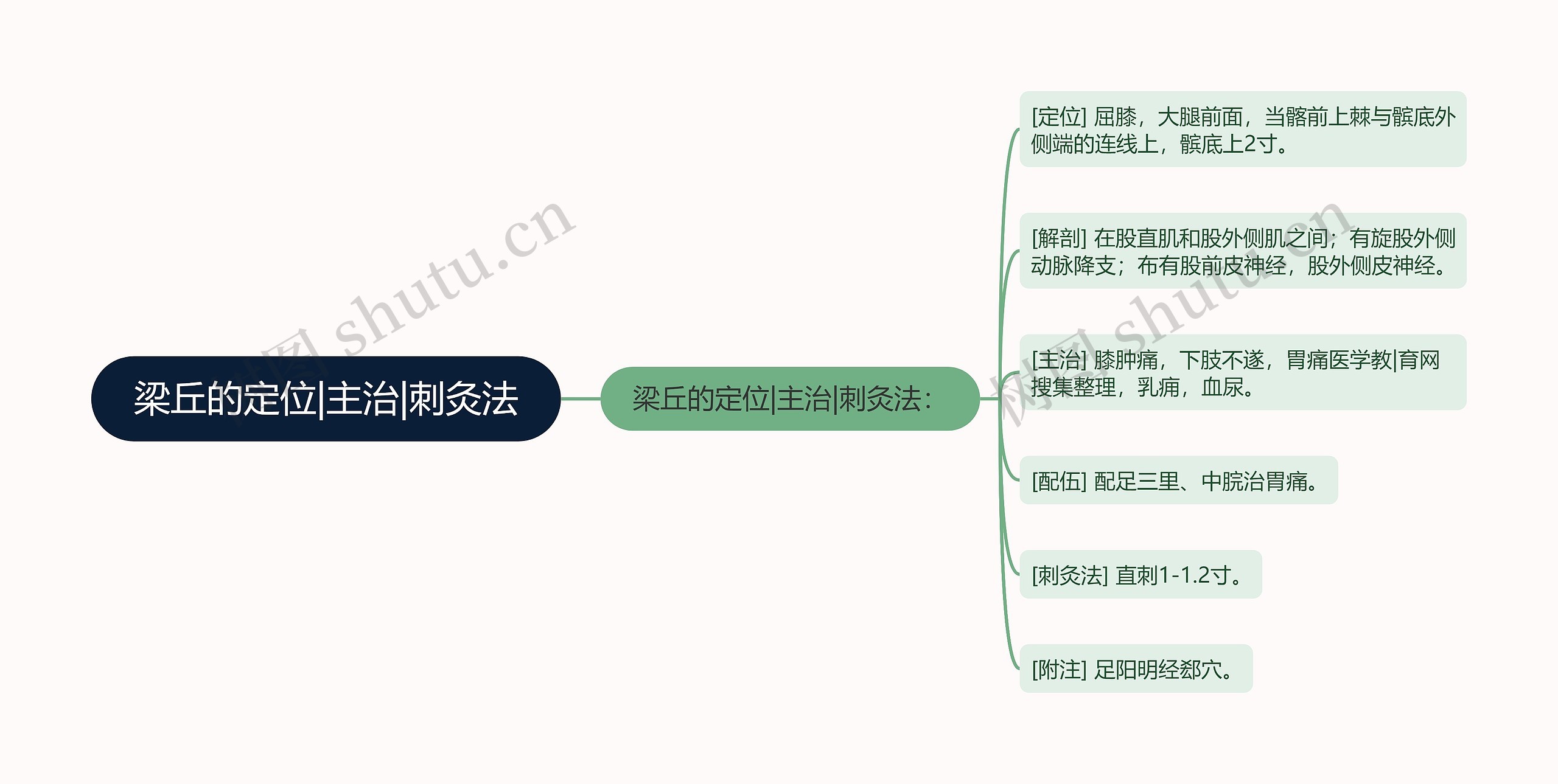 梁丘的定位|主治|刺灸法