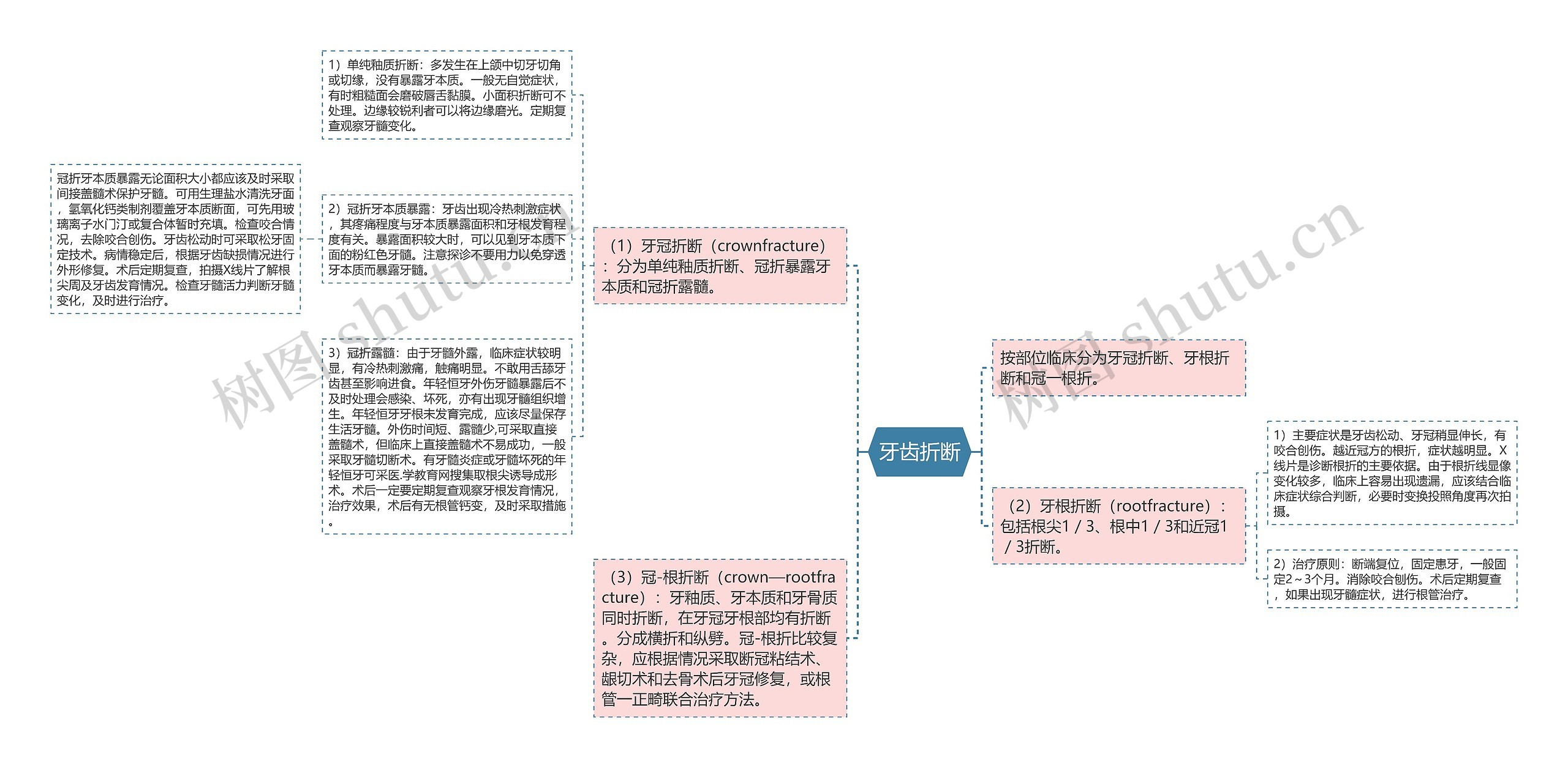 牙齿折断思维导图