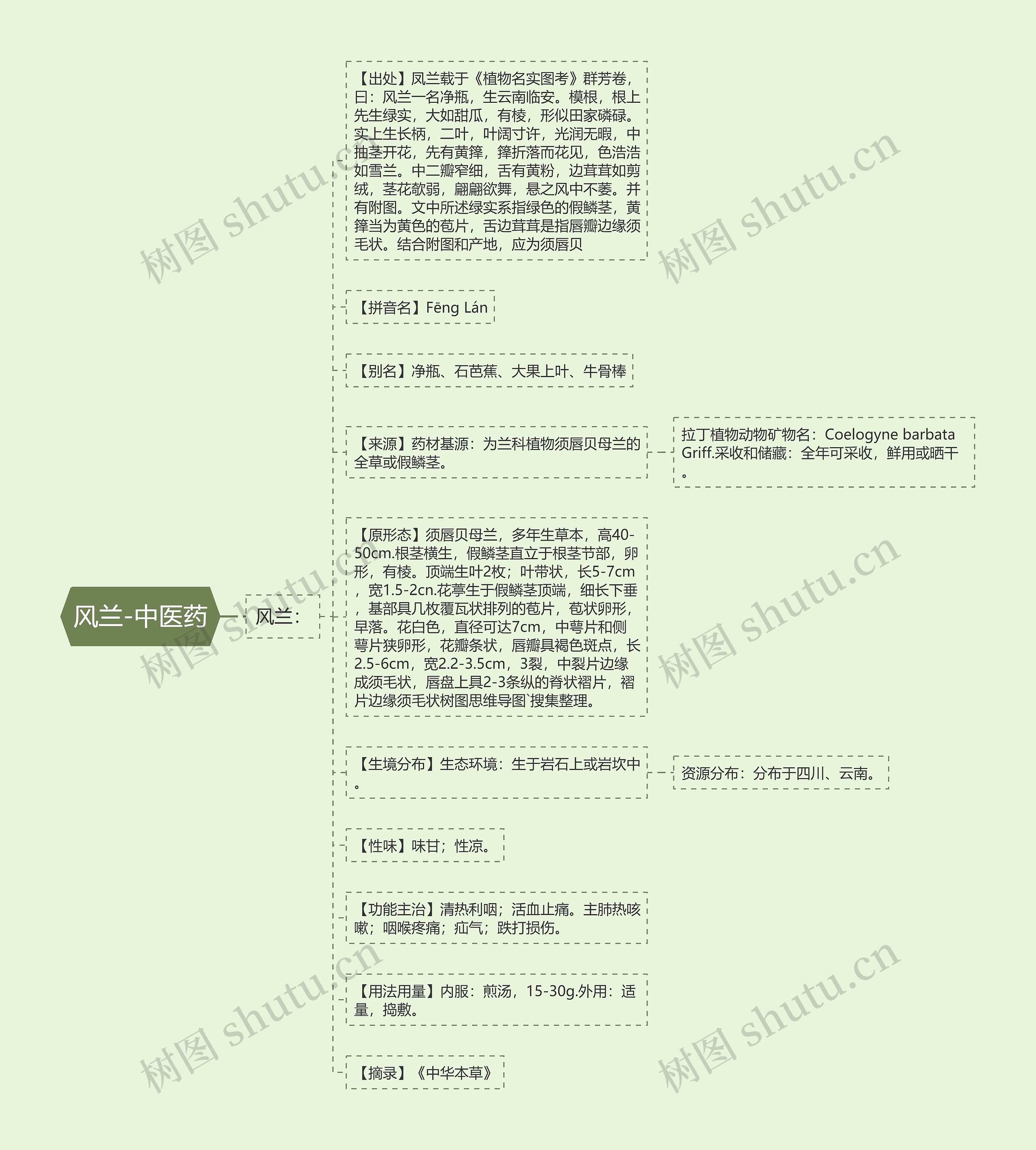 风兰-中医药 风兰-中医药
