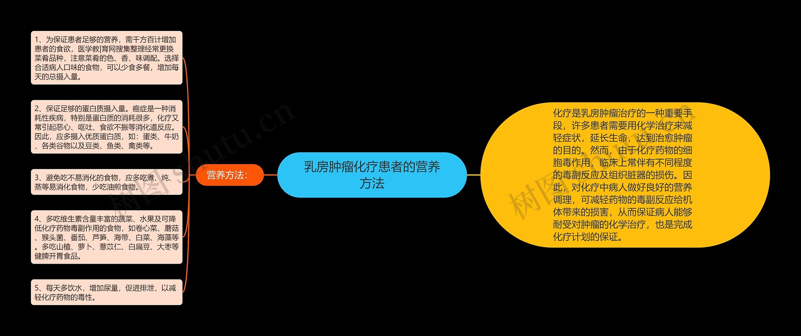 乳房肿瘤化疗患者的营养方法思维导图