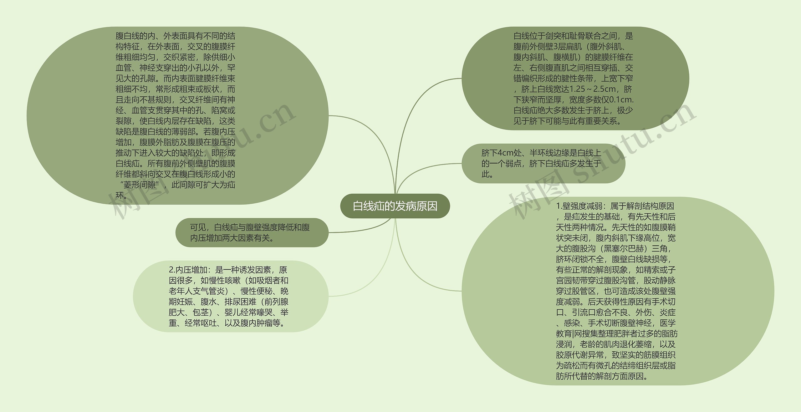 白线疝的发病原因思维导图