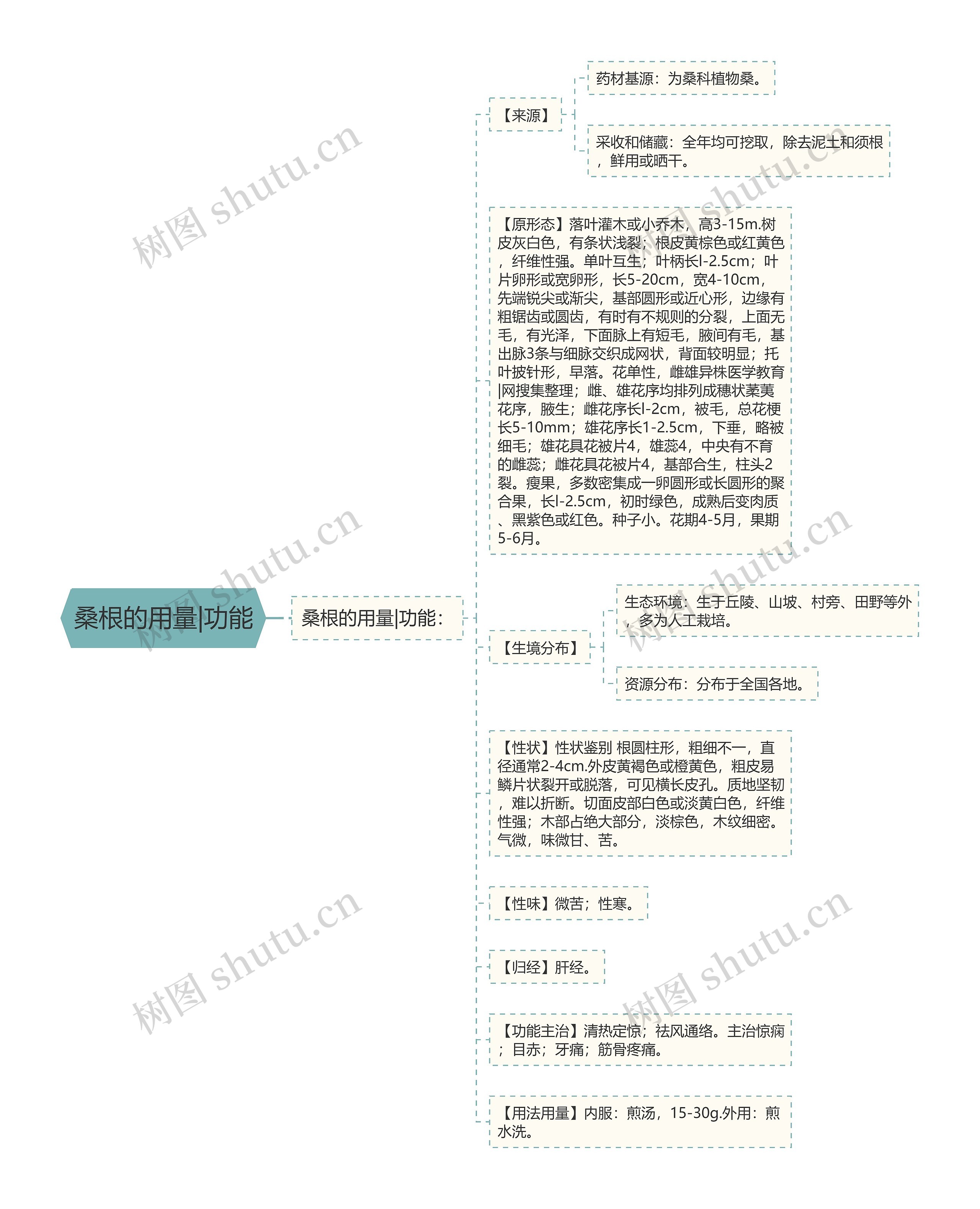 桑根的用量|功能思维导图