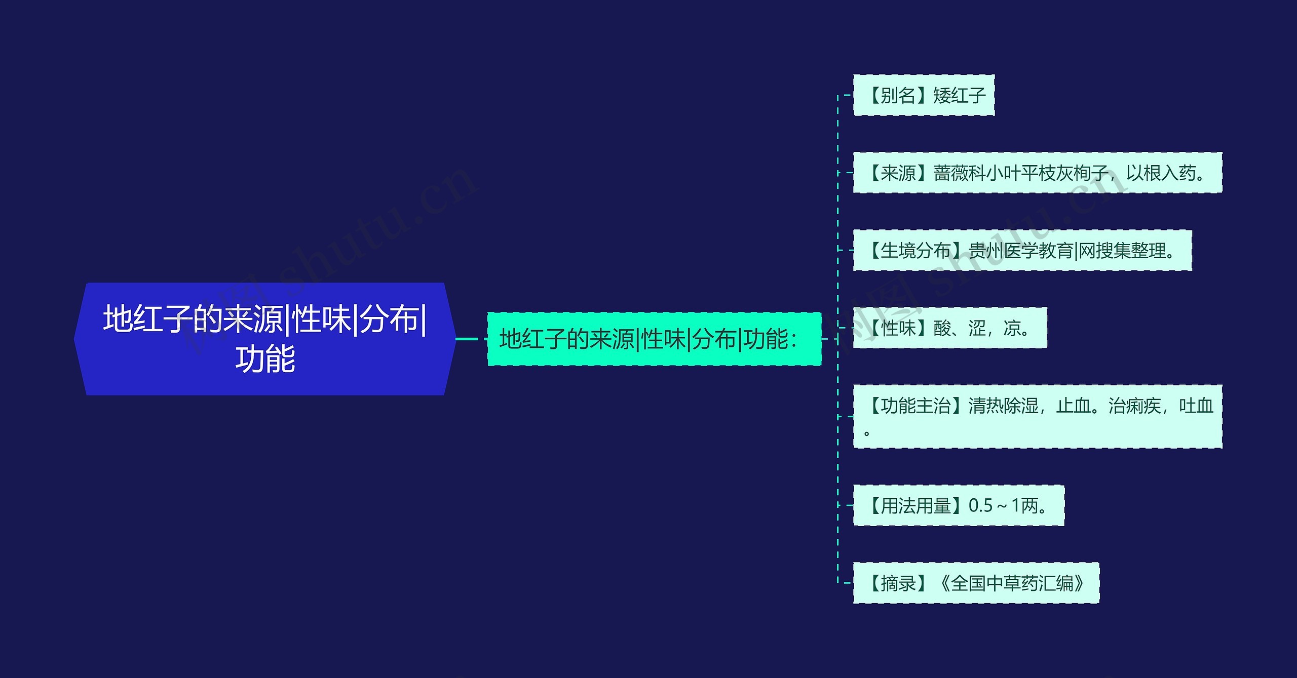 地红子的来源|性味|分布|功能思维导图