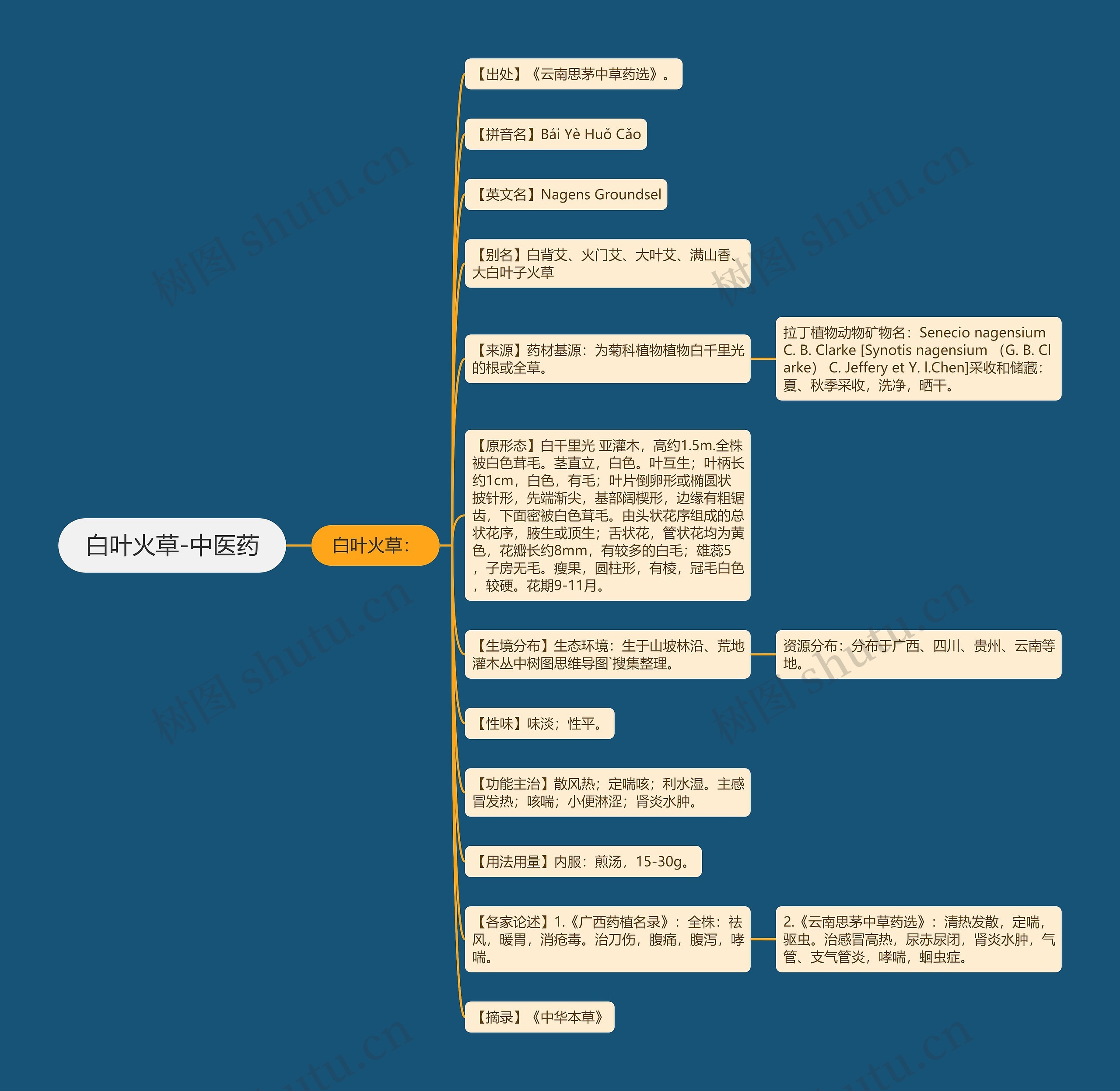 白叶火草-中医药思维导图