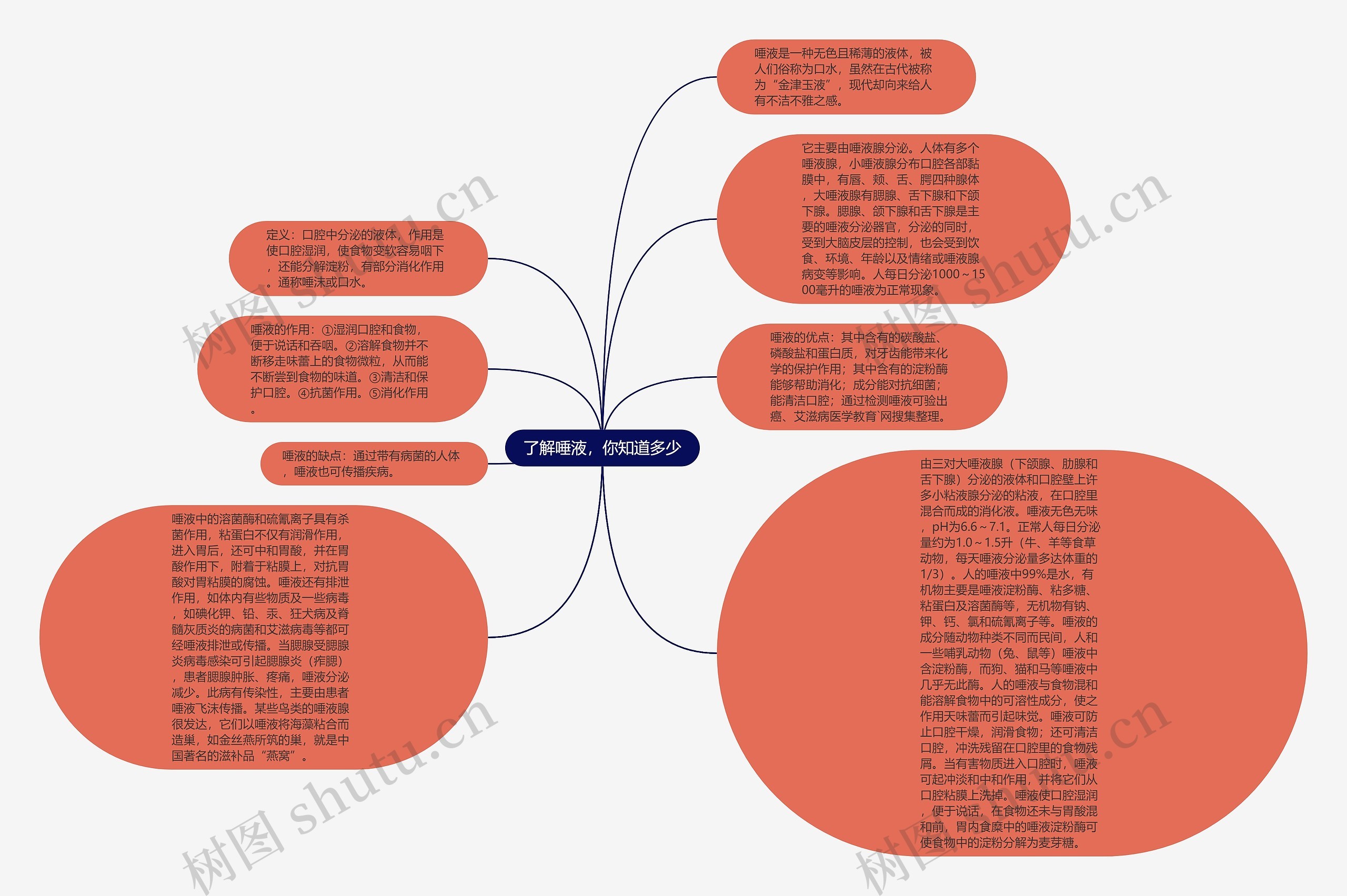 了解唾液，你知道多少思维导图