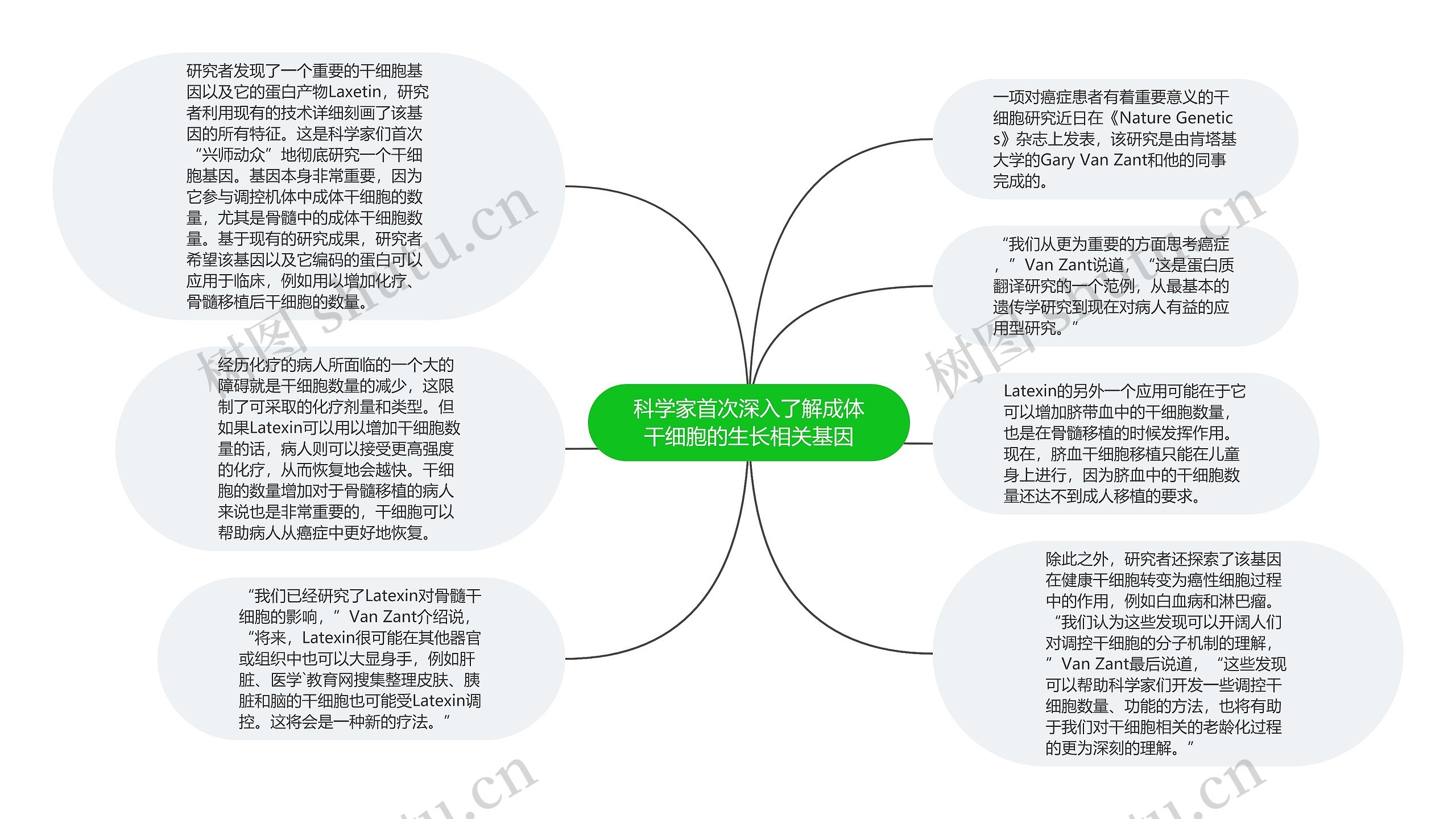 科学家首次深入了解成体干细胞的生长相关基因思维导图