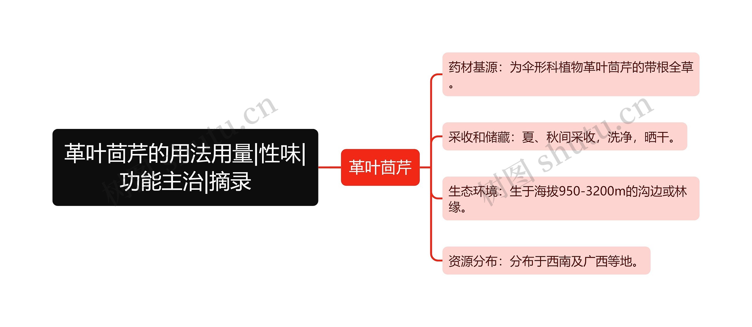 革叶茴芹的用法用量|性味|功能主治|摘录思维导图