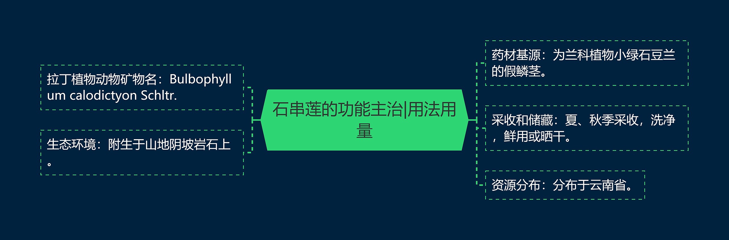 石串莲的功能主治|用法用量