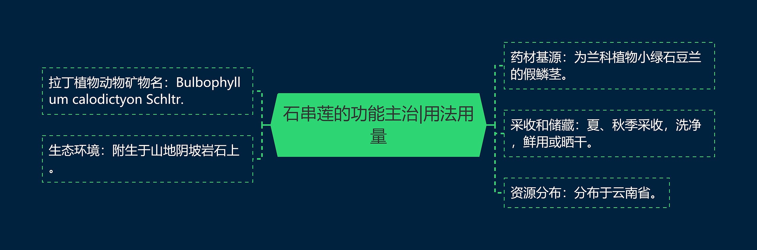 石串莲的功能主治|用法用量思维导图