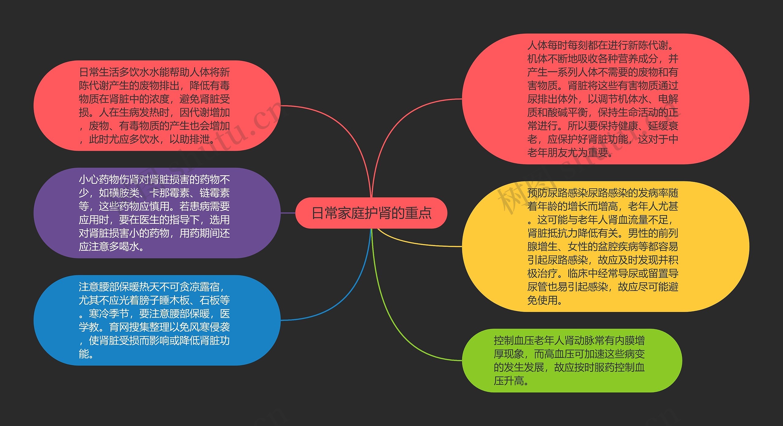 日常家庭护肾的重点思维导图