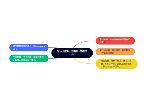 榆皮涎的用法用量|功能主治