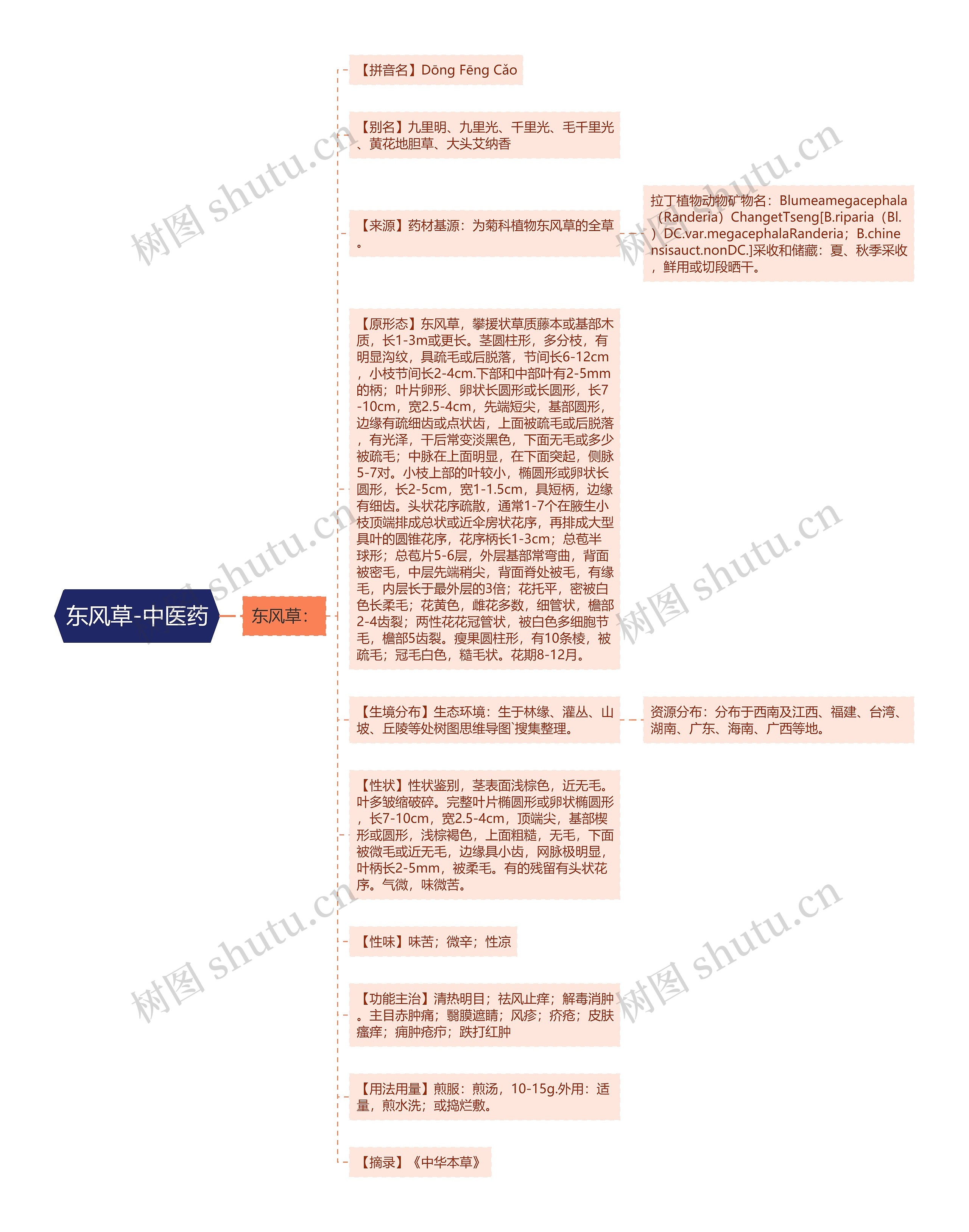 东风草-中医药思维导图