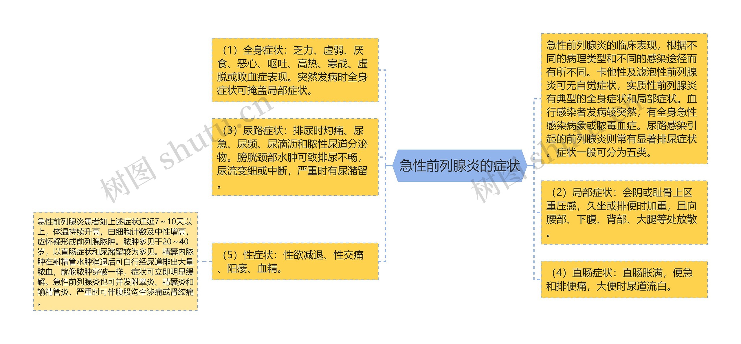 急性前列腺炎的症状思维导图