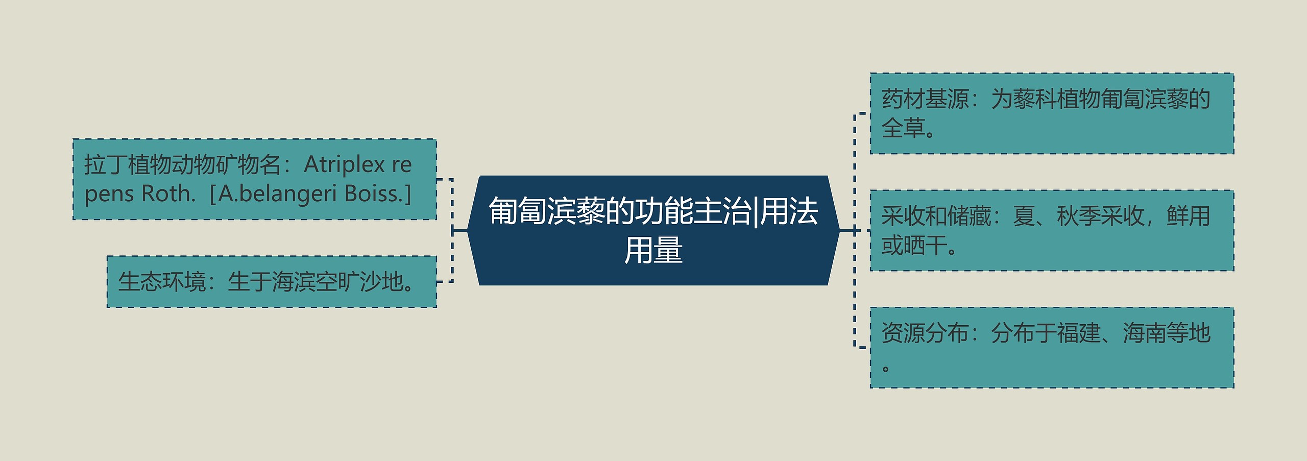 匍匐滨藜的功能主治|用法用量 匍匐滨藜的功能主治|用法用量