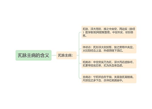 芤脉主病的含义