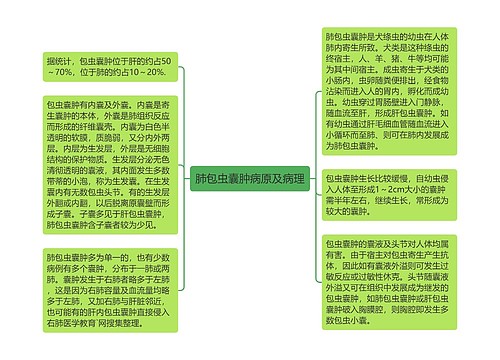 肺包虫囊肿病原及病理