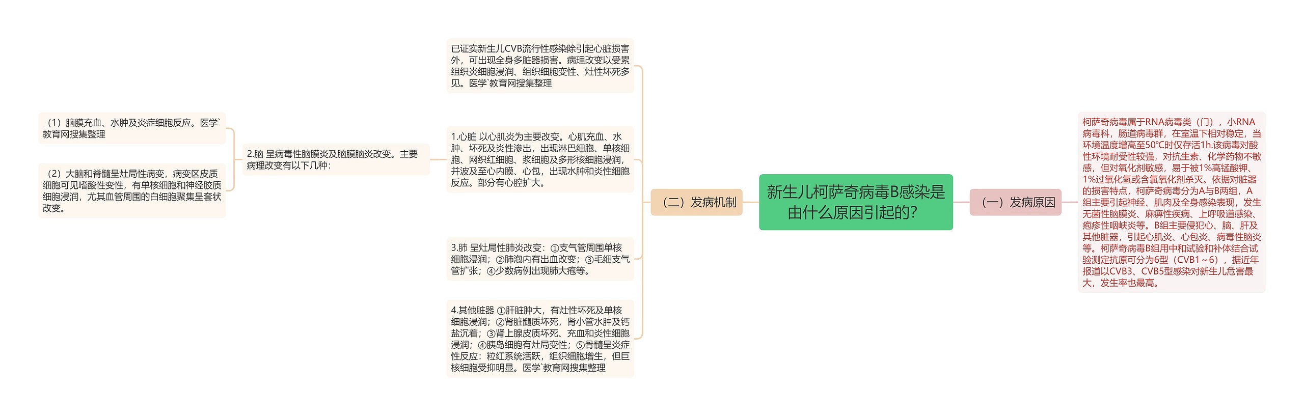 新生儿柯萨奇病毒B感染是由什么原因引起的？