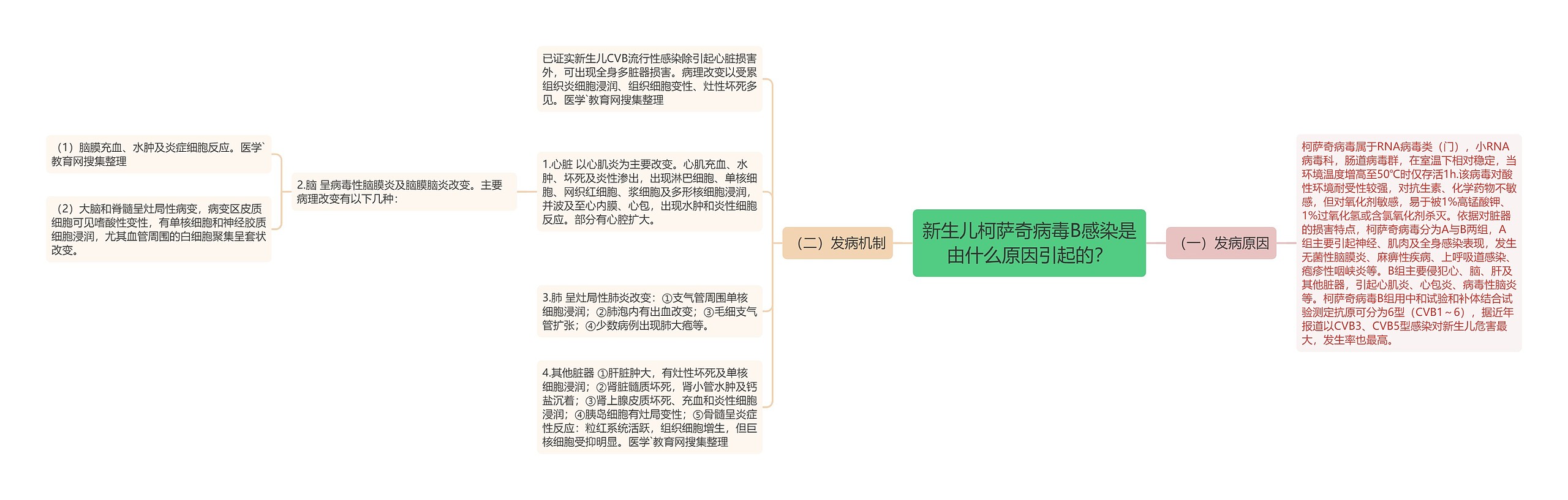 新生儿柯萨奇病毒B感染是由什么原因引起的? 新生儿柯萨奇病毒B感染是由什么原因引起的?