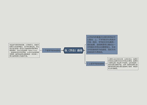 纵（牙合）曲线