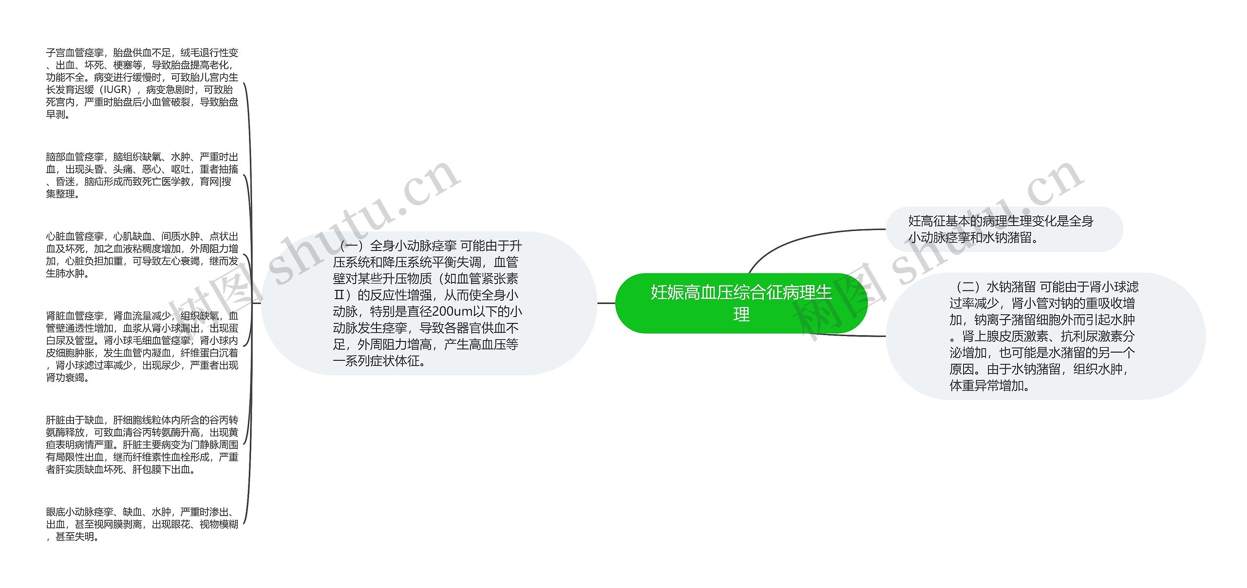 妊娠高血压综合征病理生理 妊娠高血压综合征病理生理