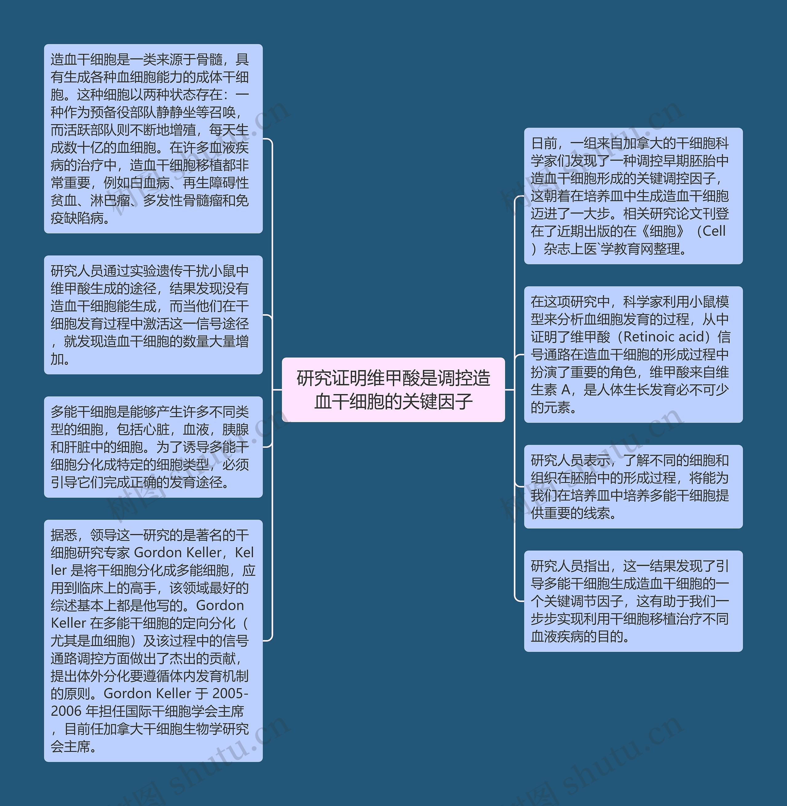 研究证明维甲酸是调控造血干细胞的关键因子