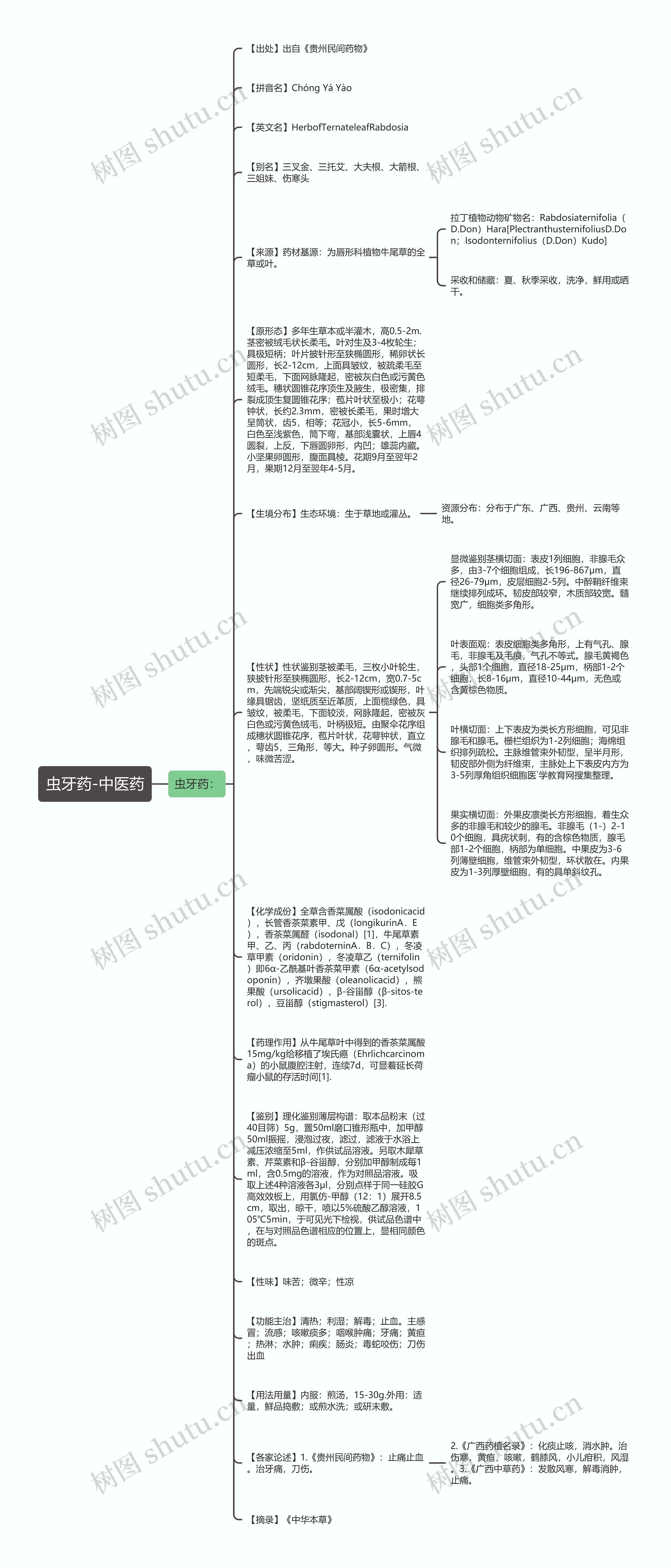虫牙药-中医药思维导图