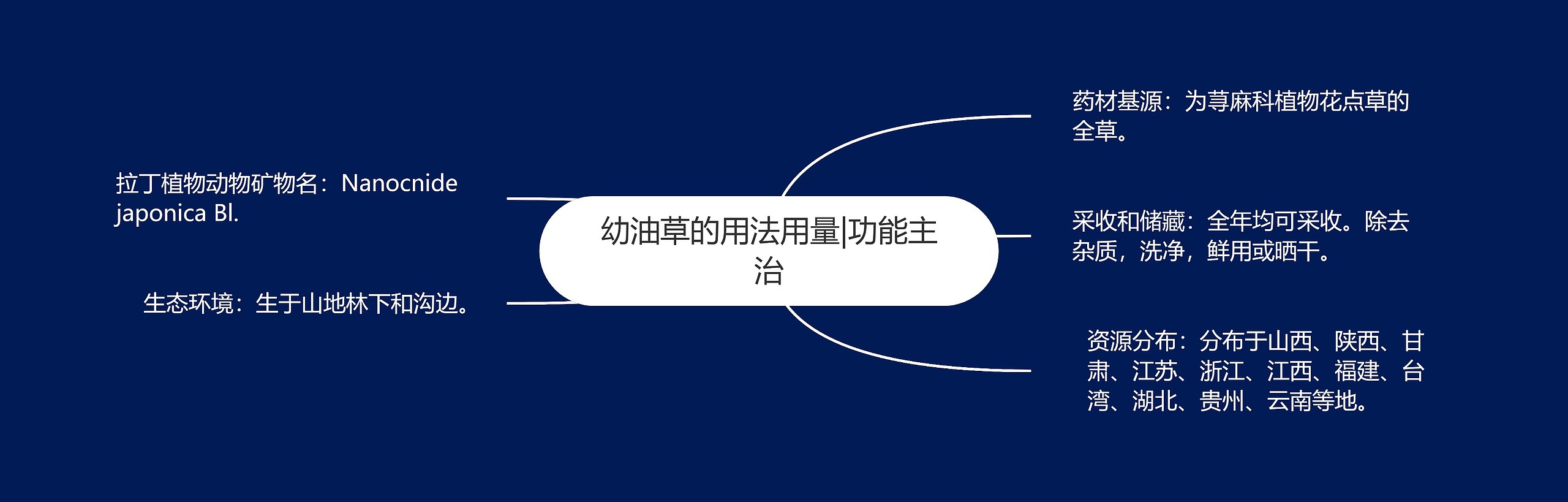 幼油草的用法用量|功能主治 幼油草的用法用量|功能主治