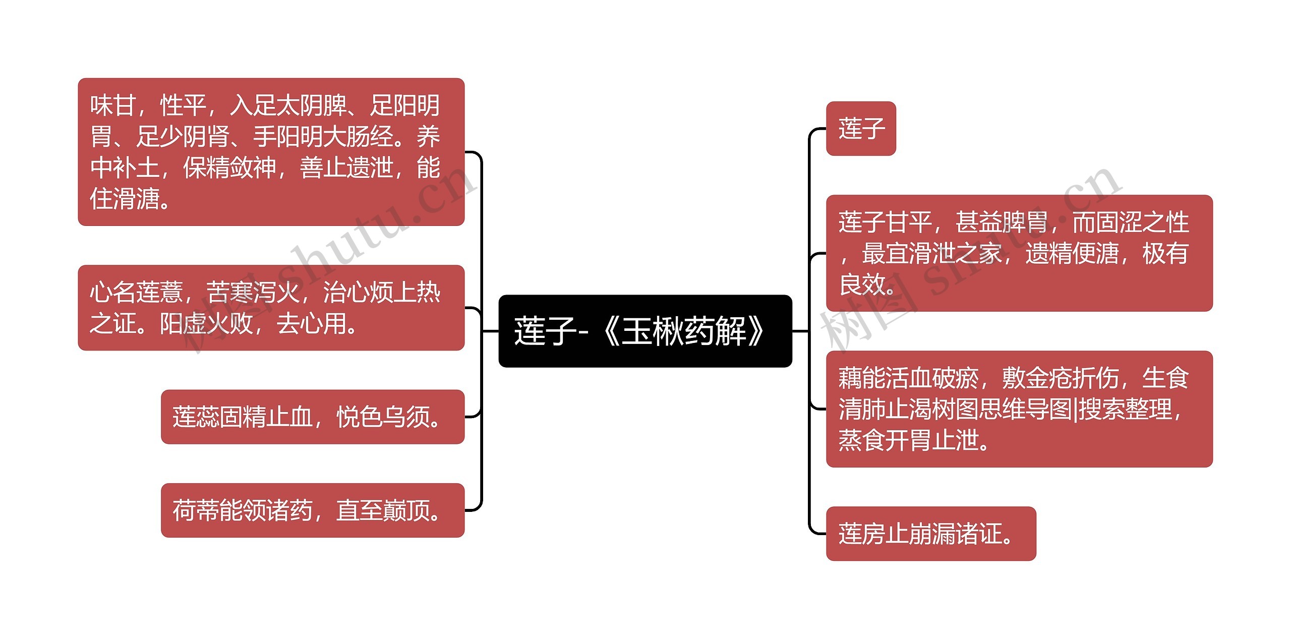 莲子-《玉楸药解》思维导图