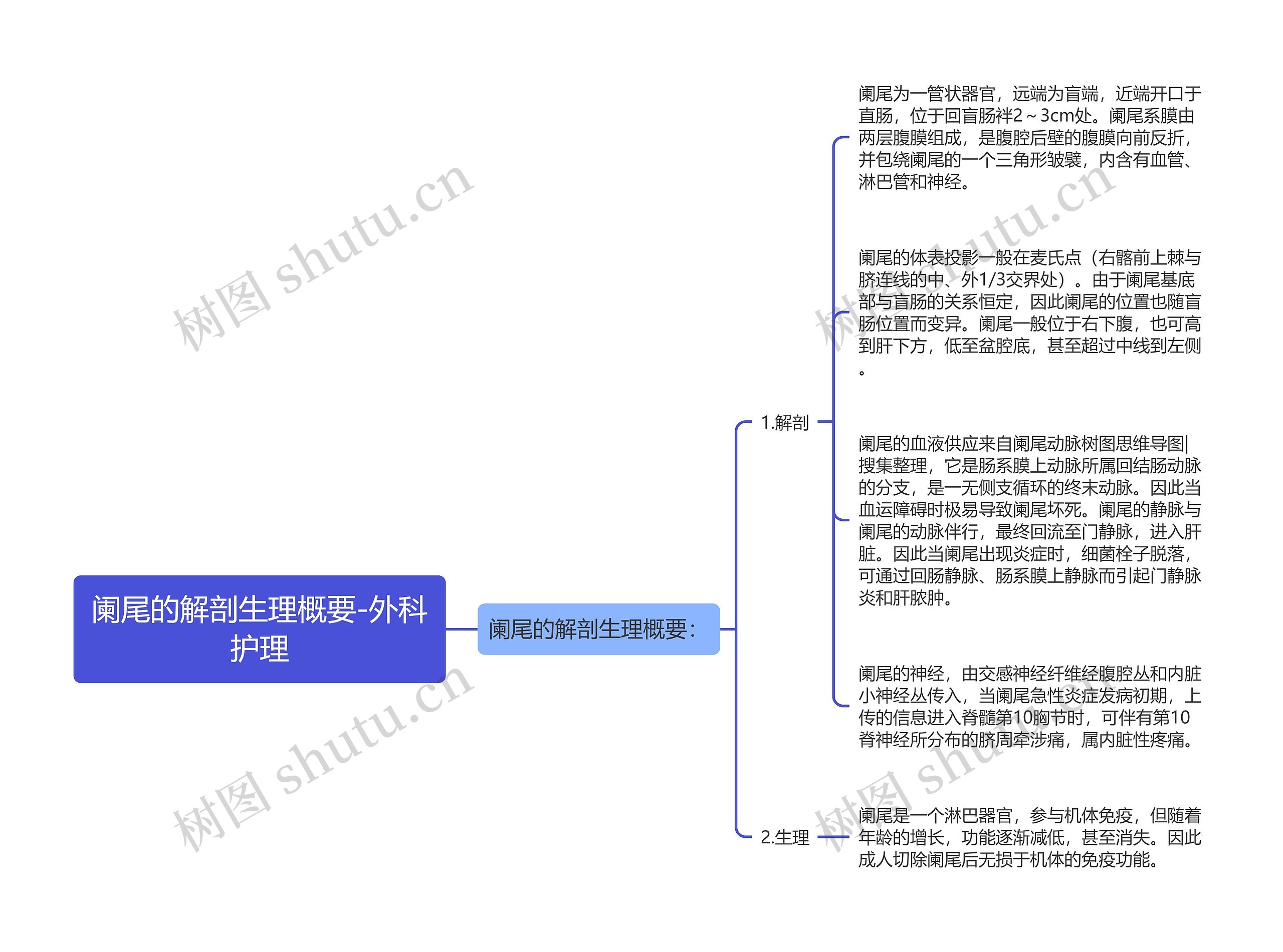 阑尾的解剖生理概要-外科护理