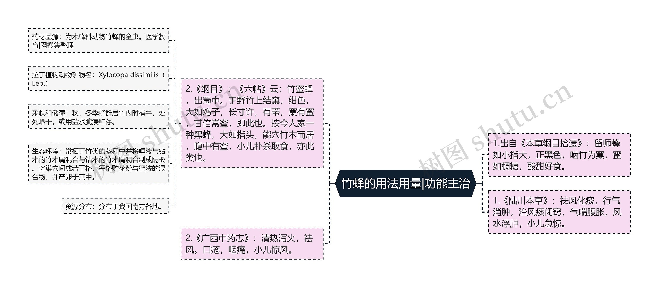 竹蜂的用法用量|功能主治思维导图