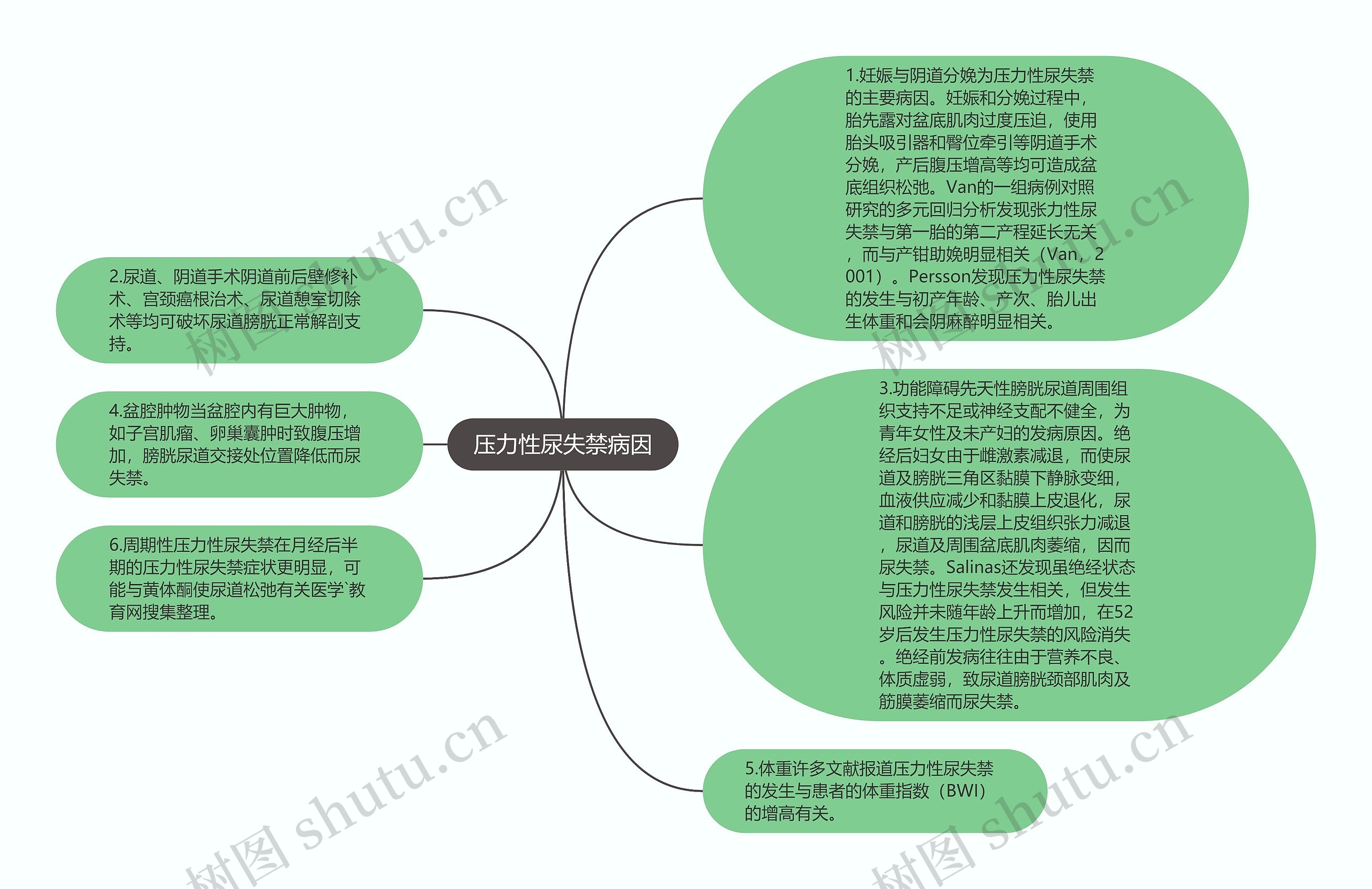 压力性尿失禁病因思维导图