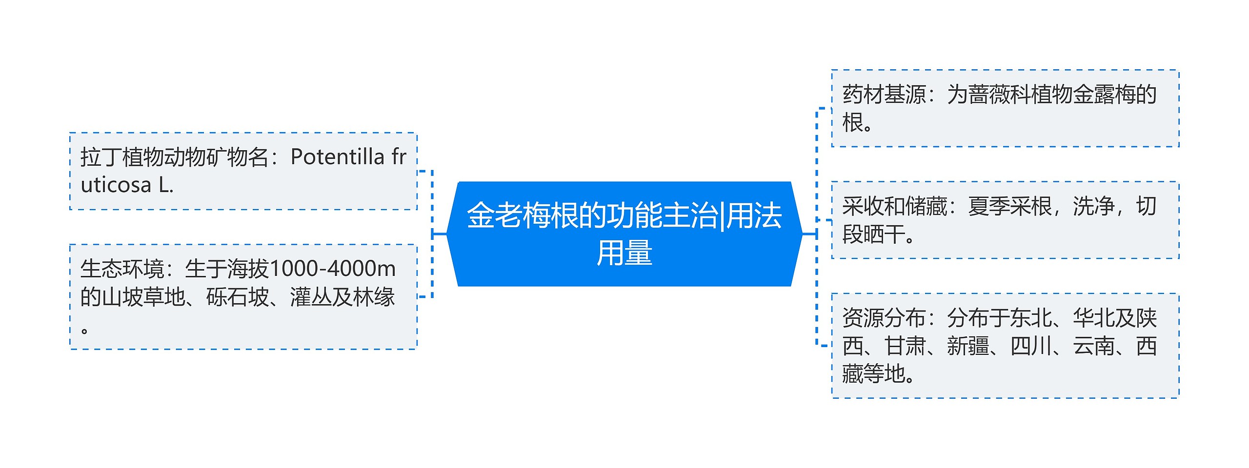 金老梅根的功能主治|用法用量思维导图