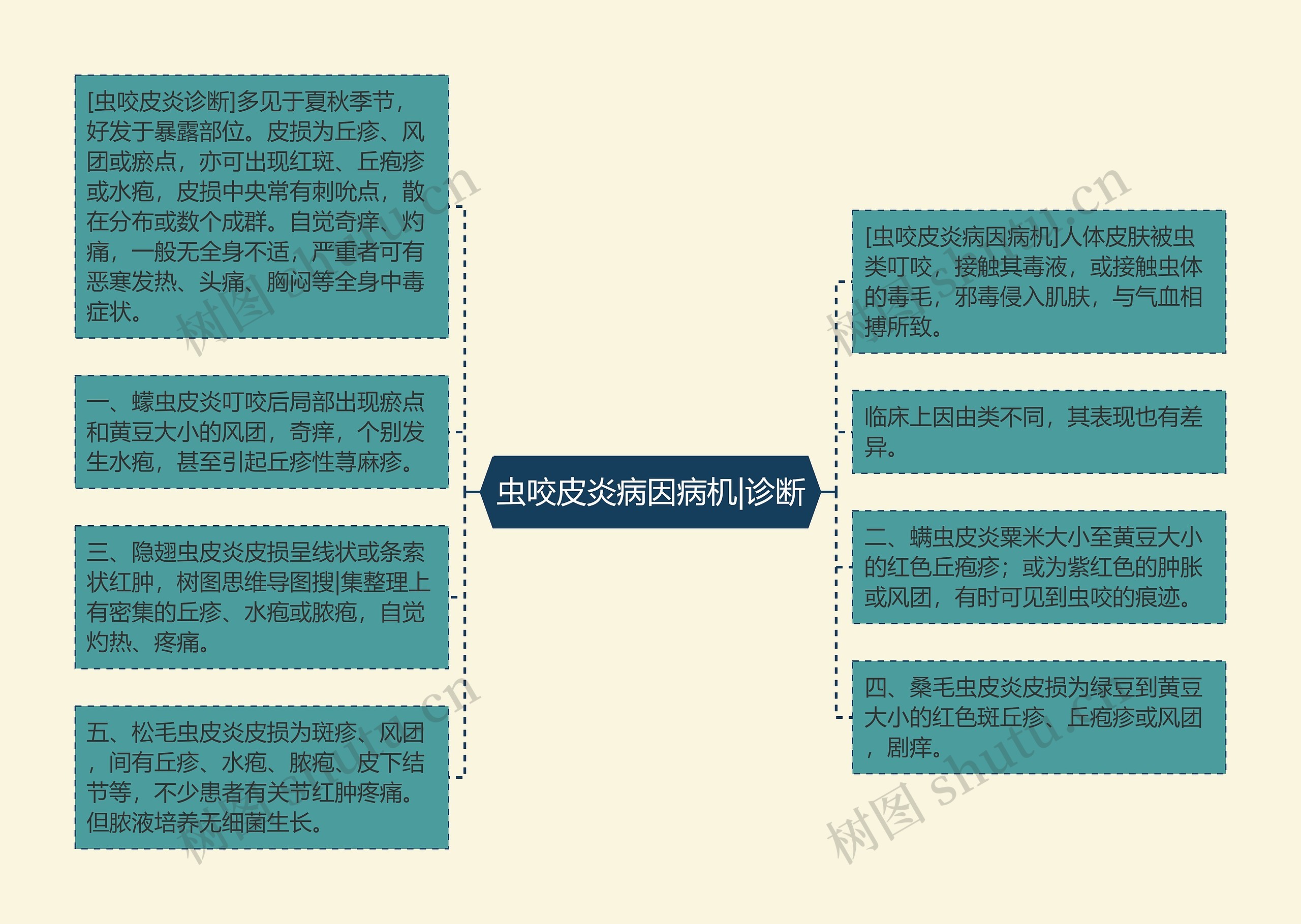 虫咬皮炎病因病机|诊断思维导图